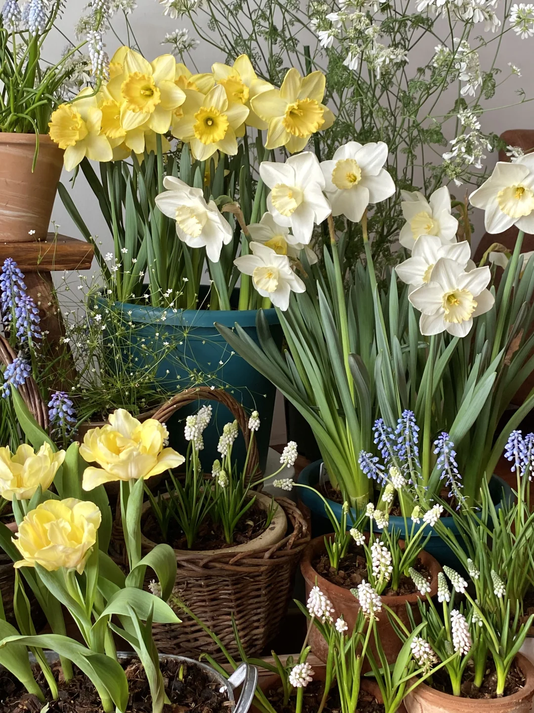 此时此刻我家???