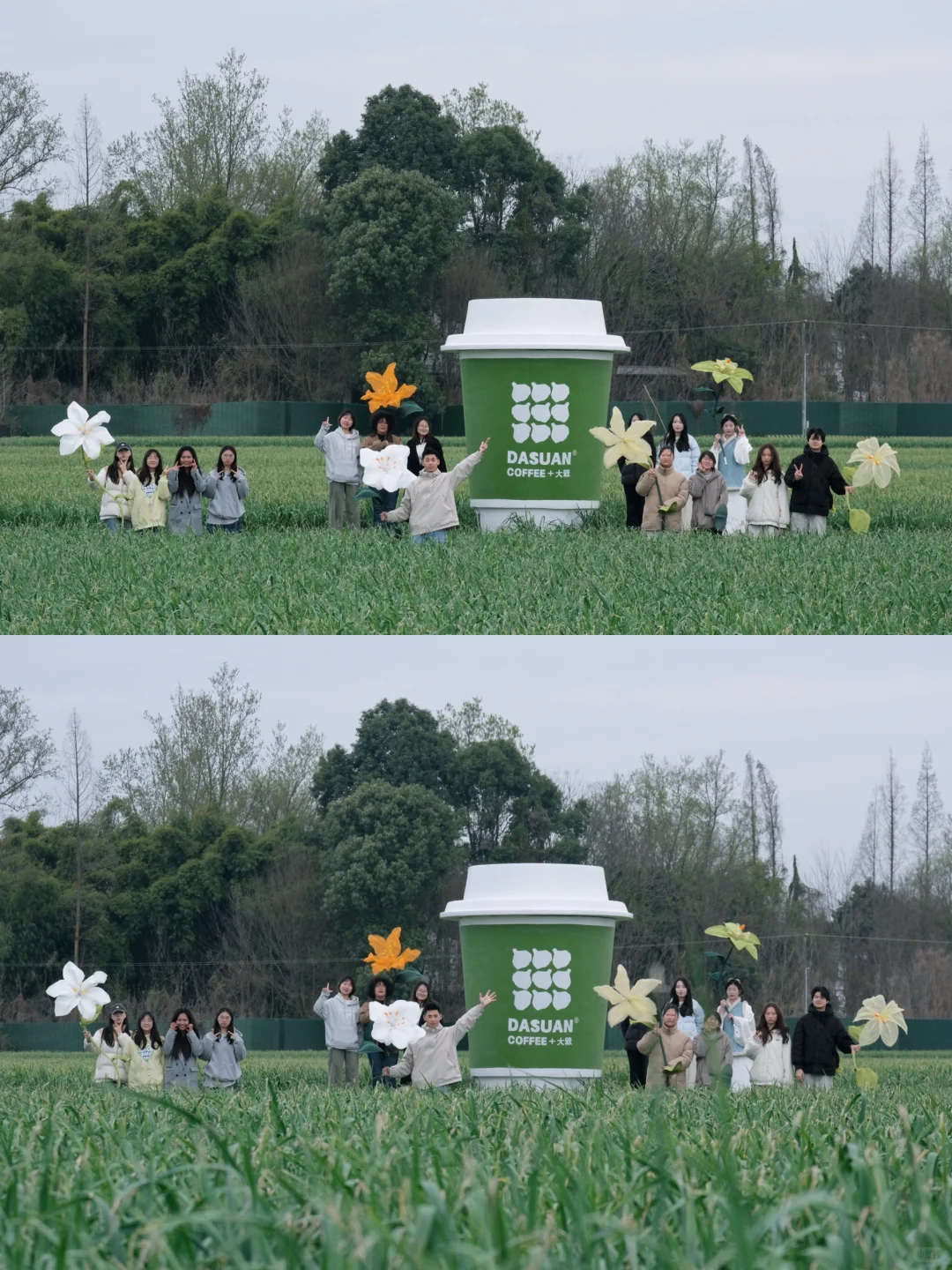 高山大蒜季 ｜ 青年共创，我们在乡村。