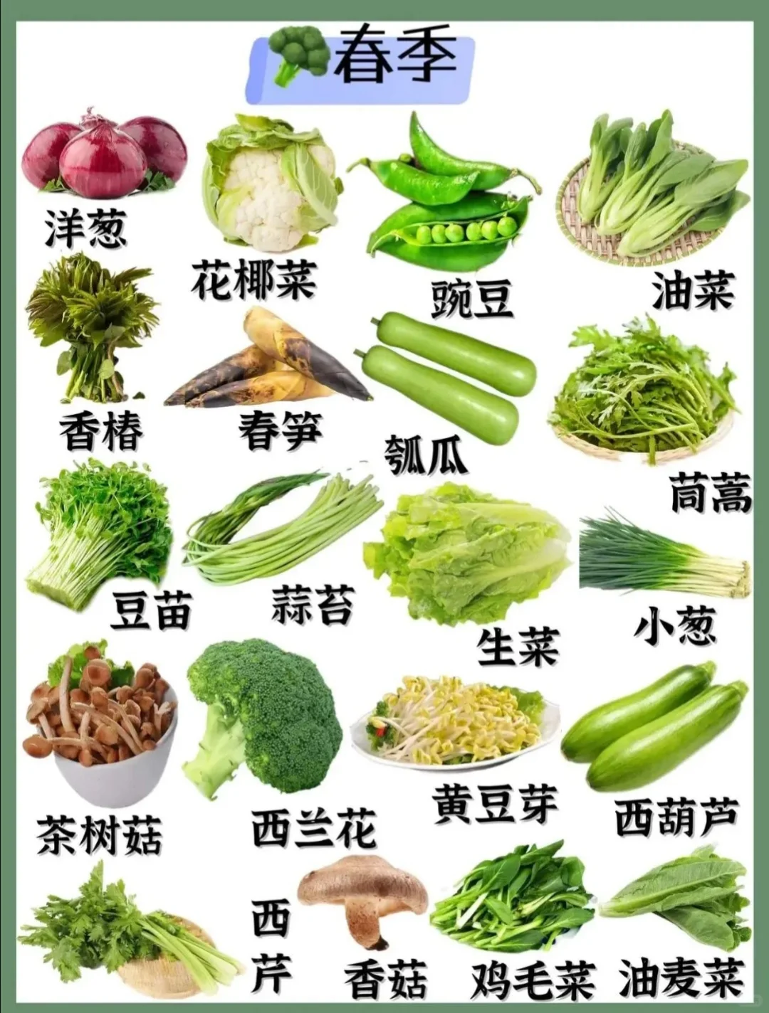 超实用的四季蔬菜汇总