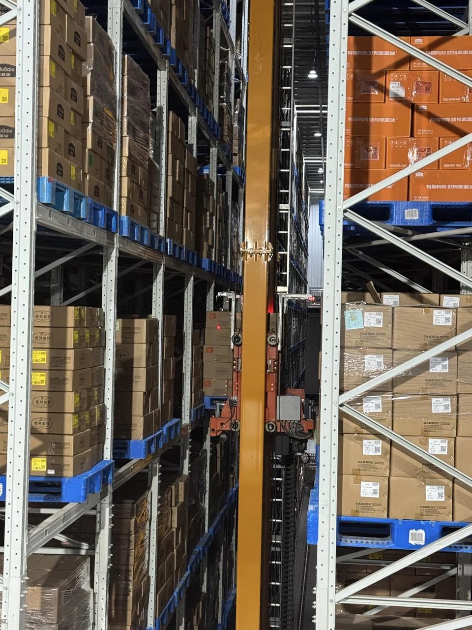 被麦富迪的工厂生产线硬控了！