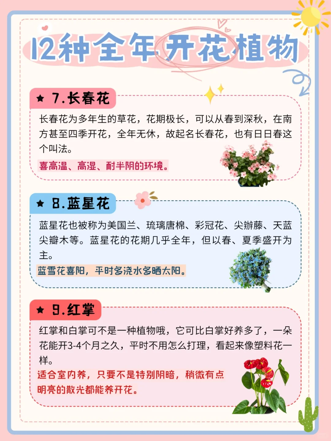 推荐12种全年开花植物?懒人收藏‼️