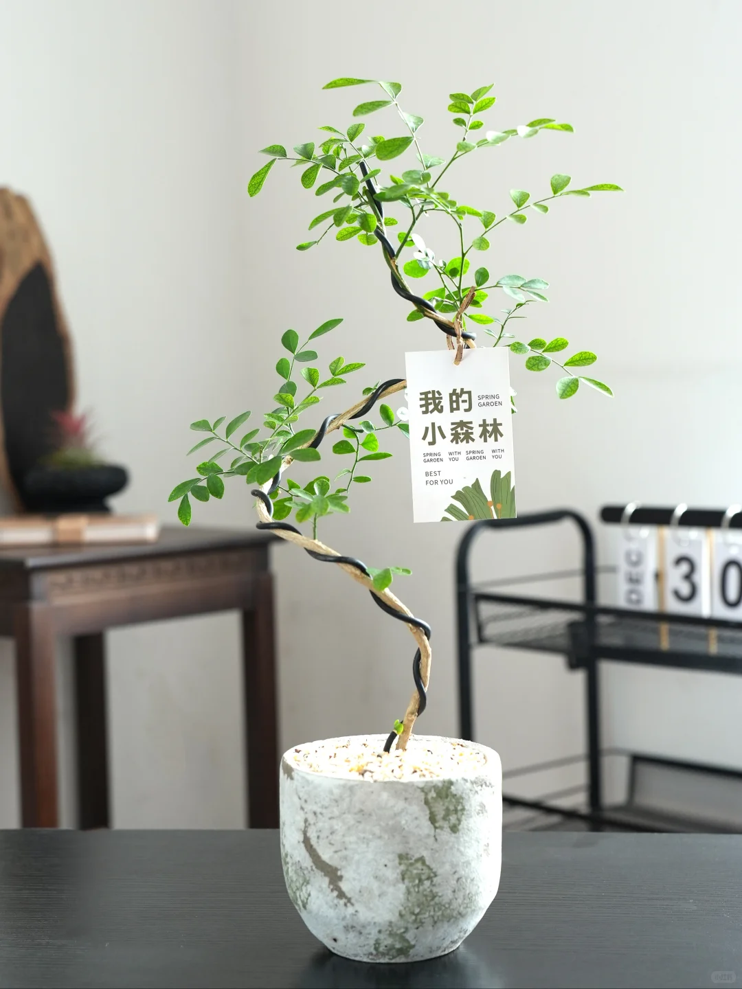 生命真是奇妙又美好的?