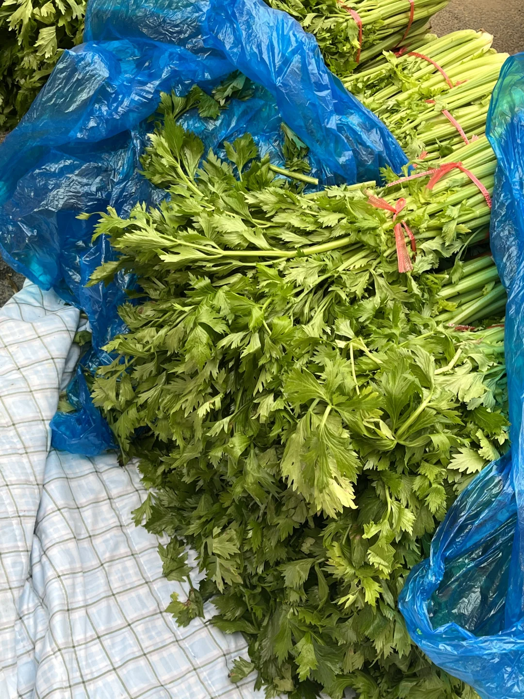 饭店老板的救星⭐蔬菜批发商的日常