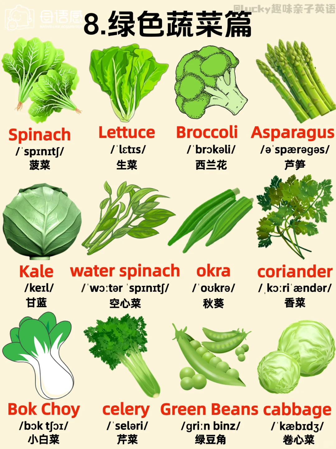 绝了！这英语主题闪卡也太全了吧!!!