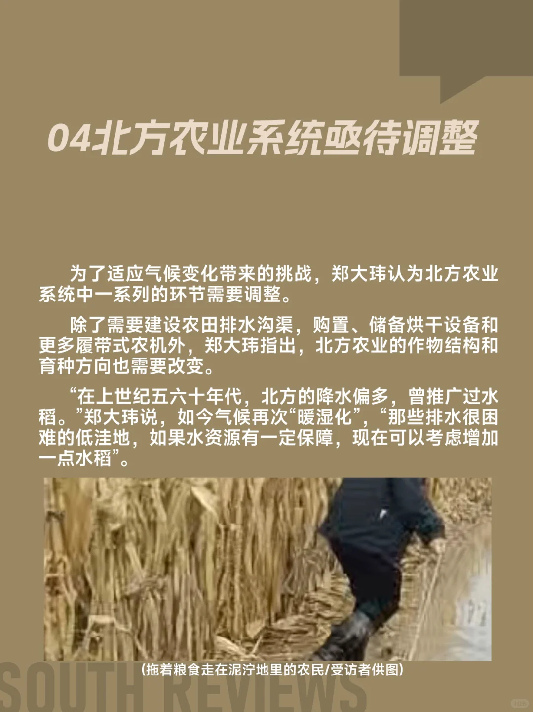 河南农民太苦了,刚经历罕见干旱又遭遇秋涝