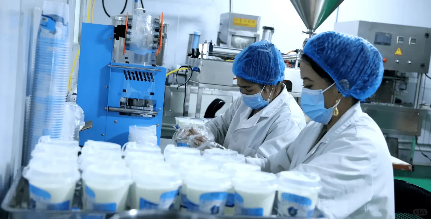 考完试，来石家庄酸奶厂啦