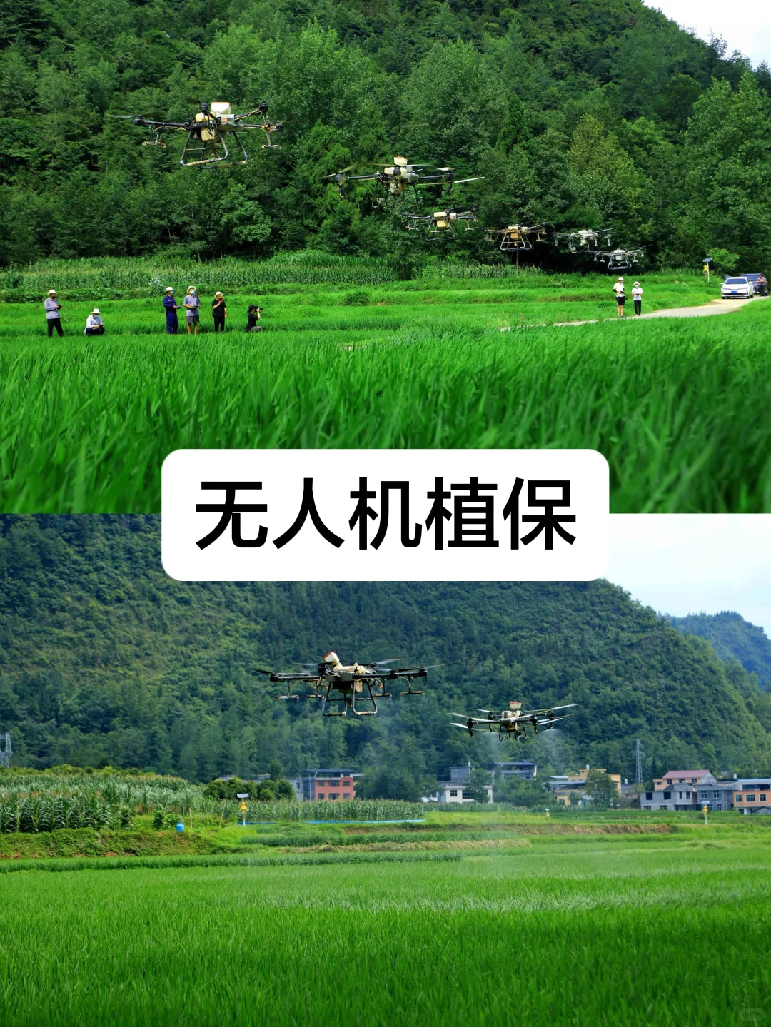 找无人机服务？正规靠谱不忽悠。全国接单！