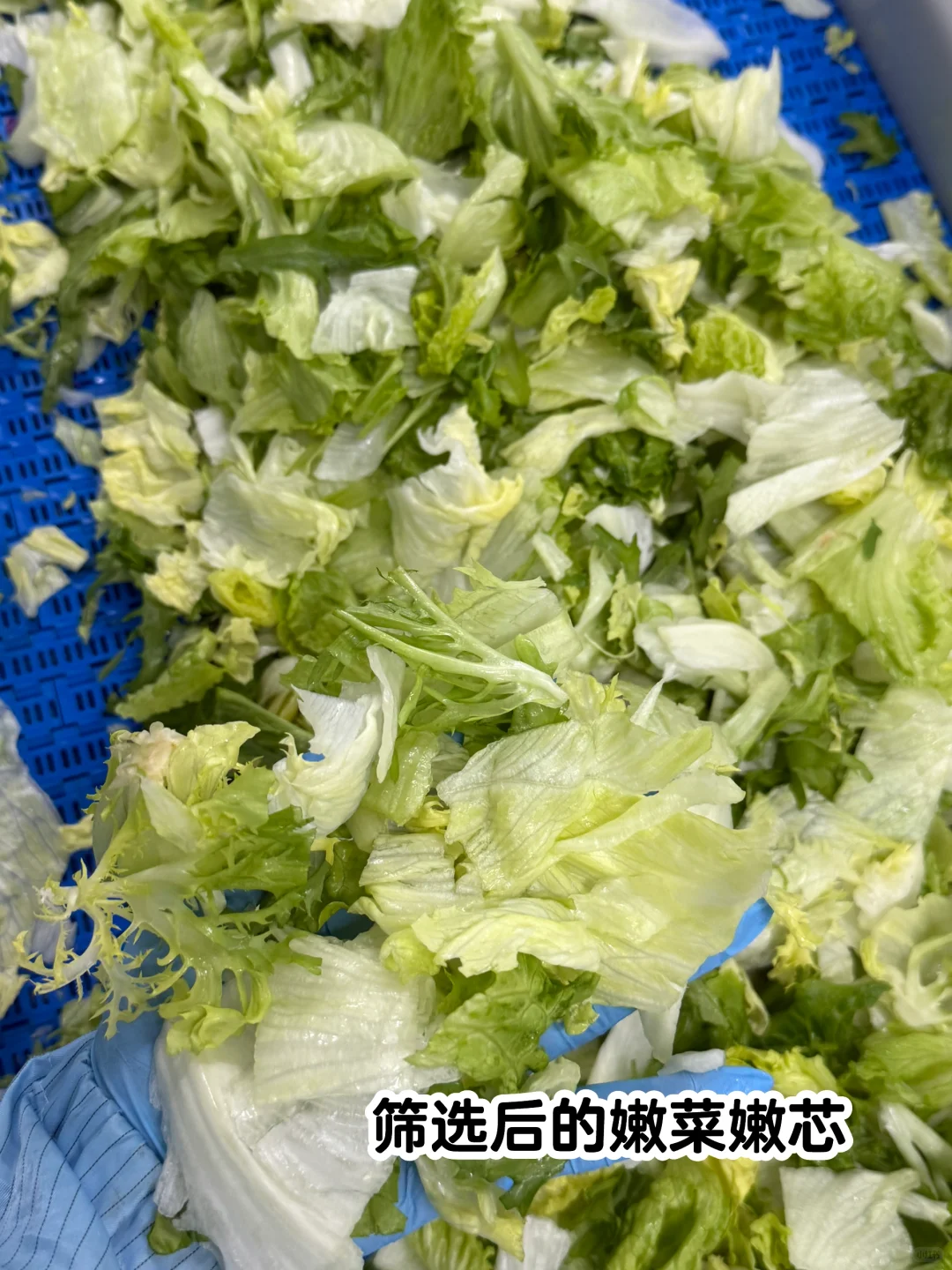 说真的！这是我见过浪费最严重的工厂…