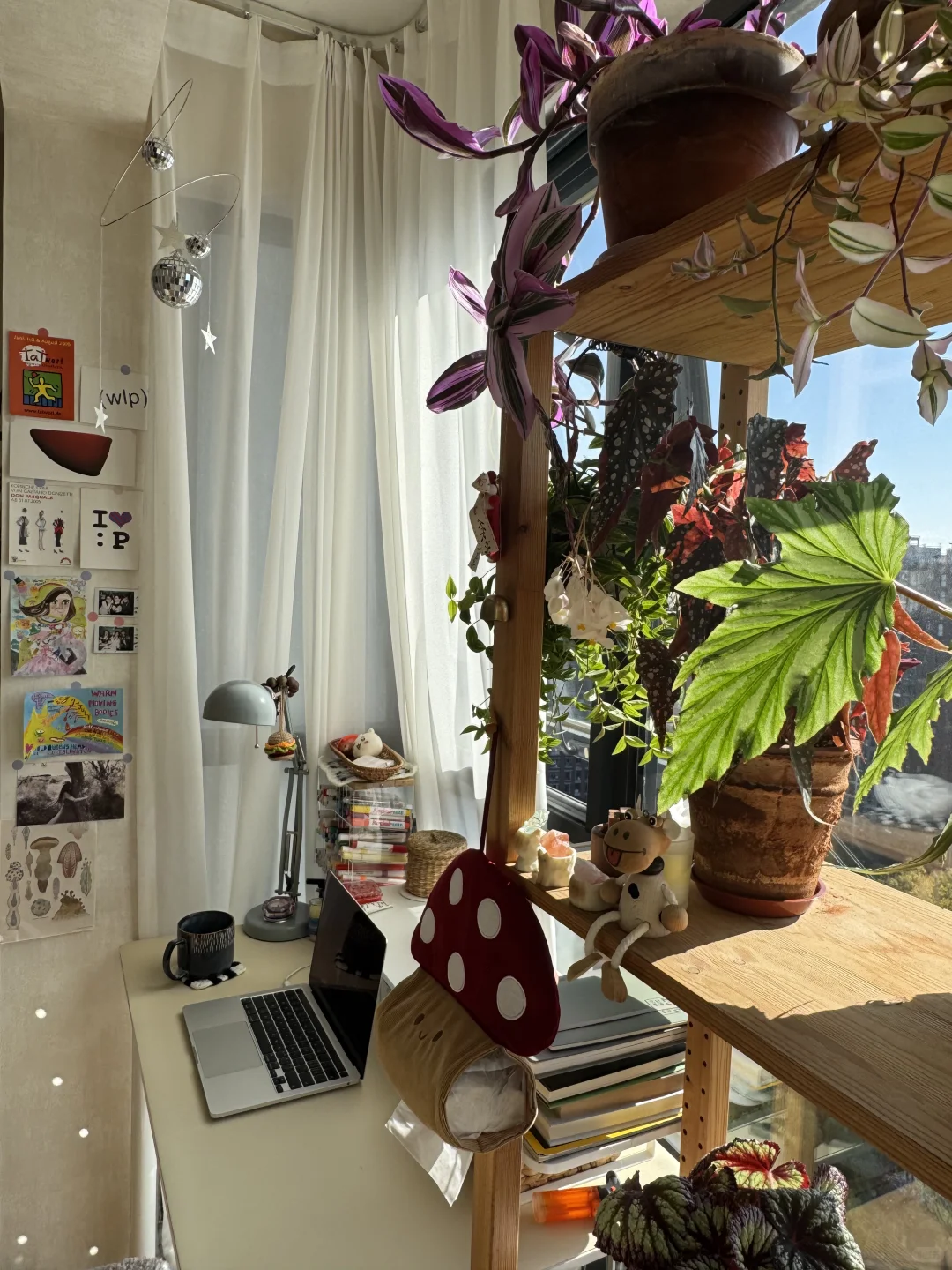 ⸝⸝꙳?i人用绿植爆改出租屋°.