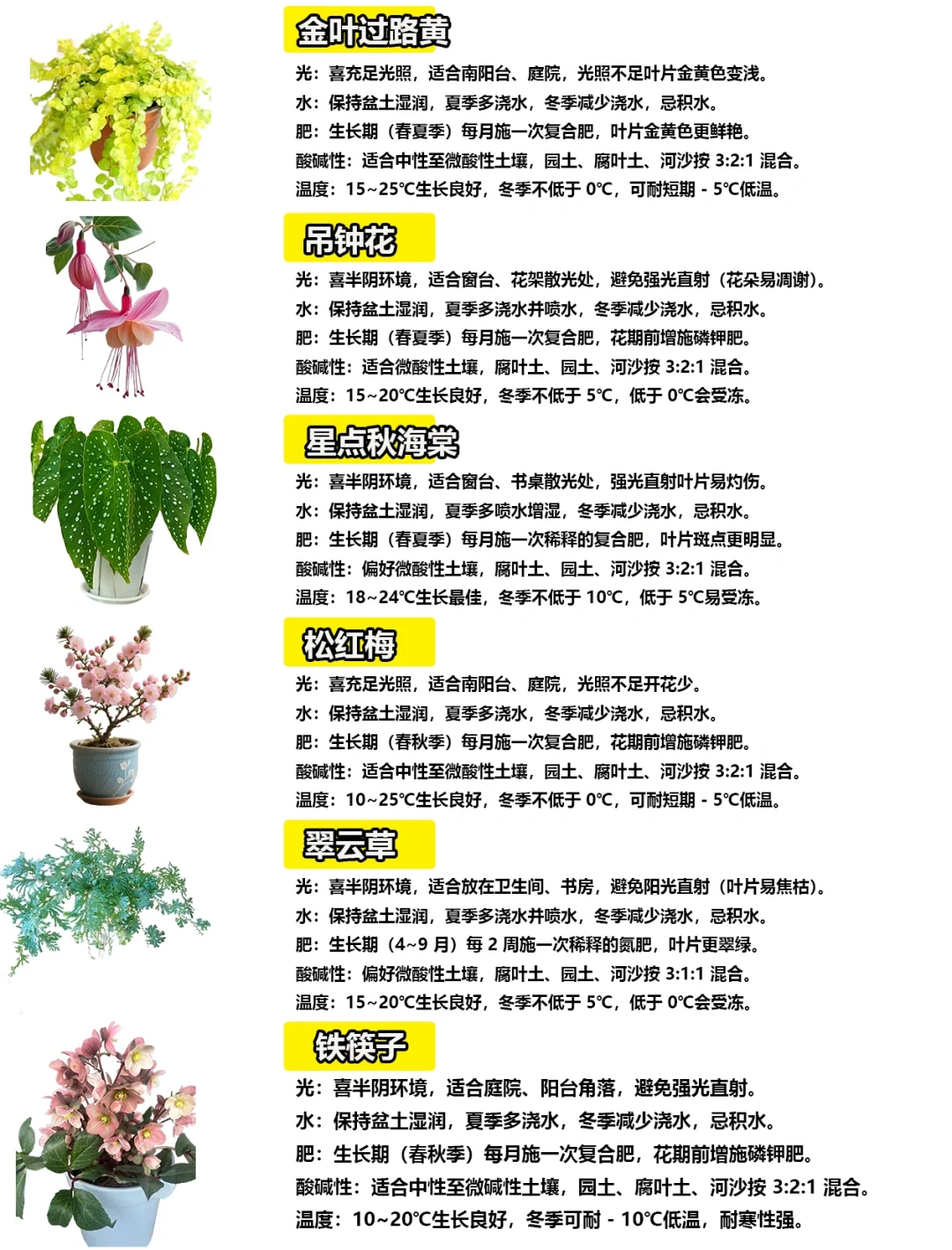 108种绿植花卉养护手册大全
