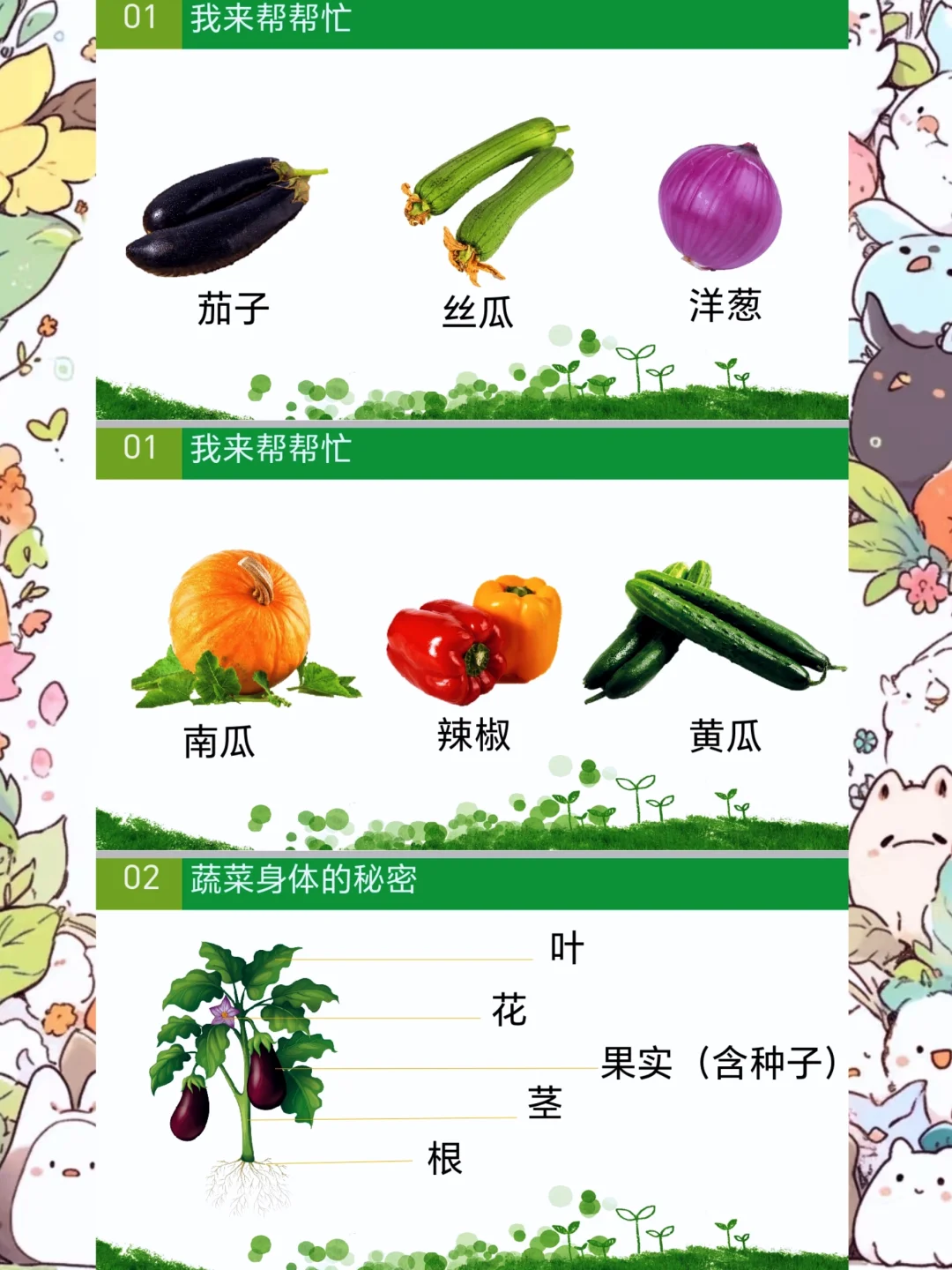 幼师必备，中班科学健康《认识蔬菜》