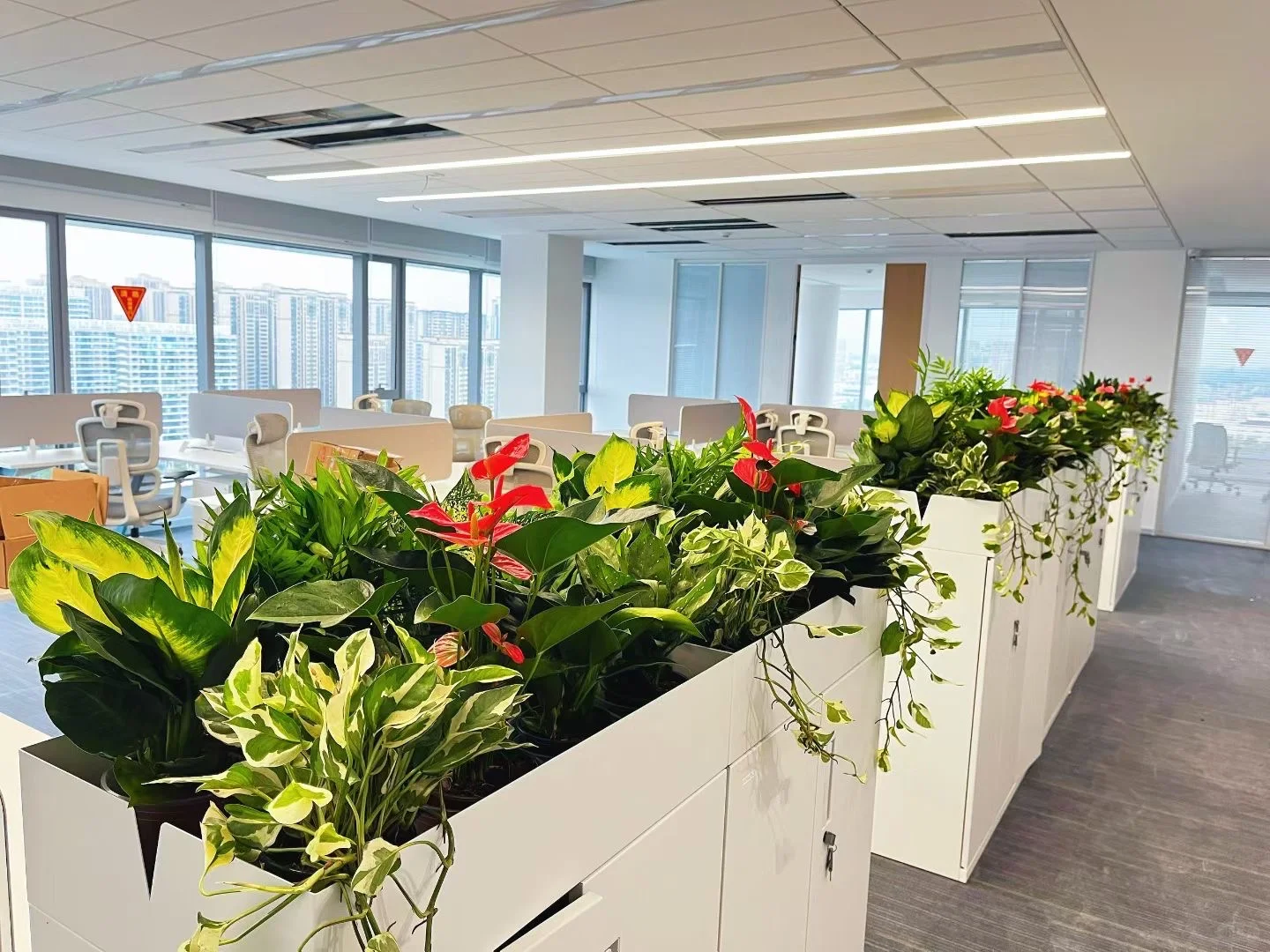 遇见美好的，一定不要错过