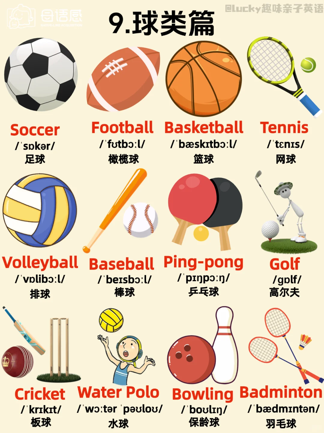 绝了！这英语主题闪卡也太全了吧!!!