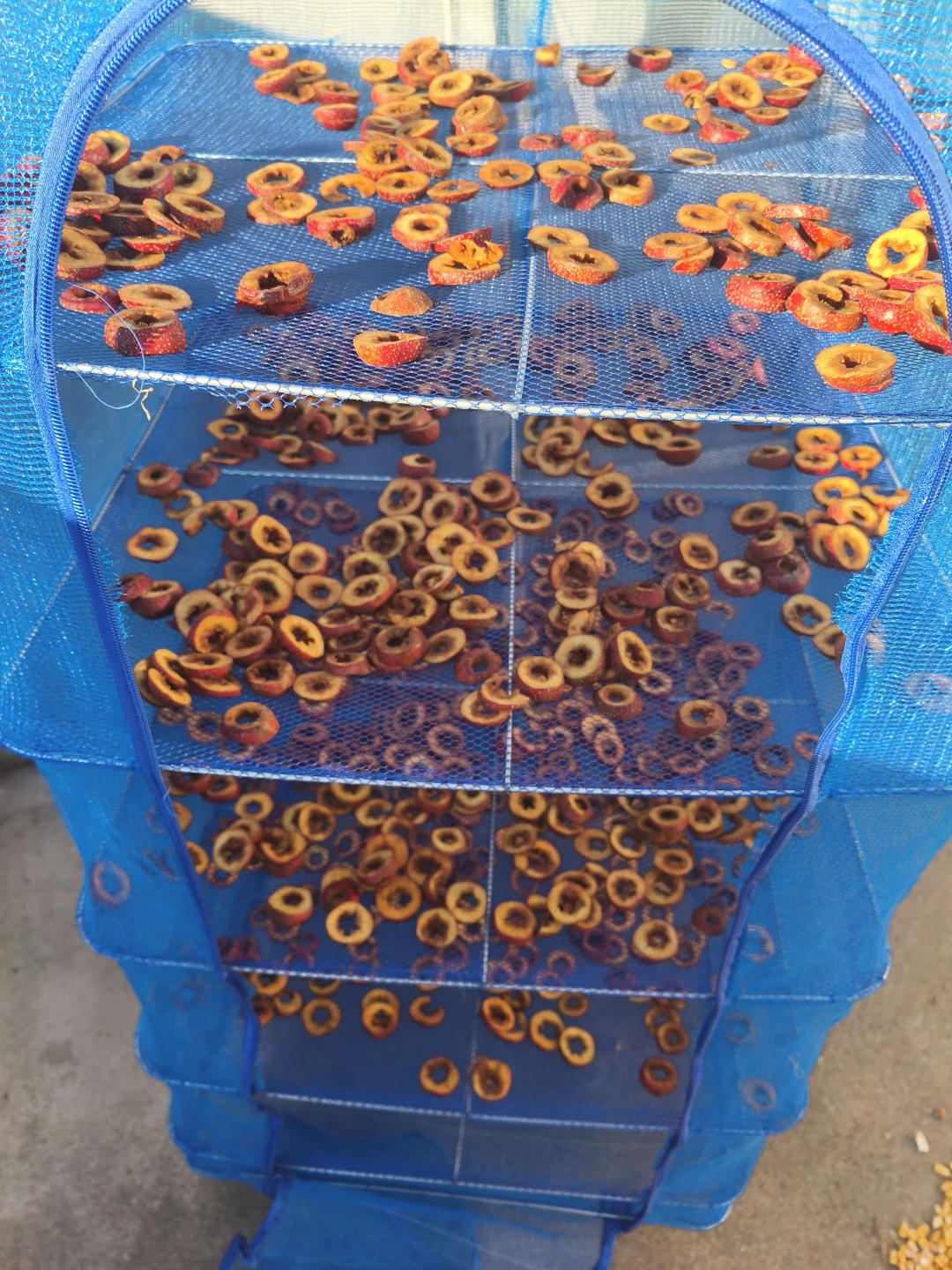 纯手工绿色山楂干