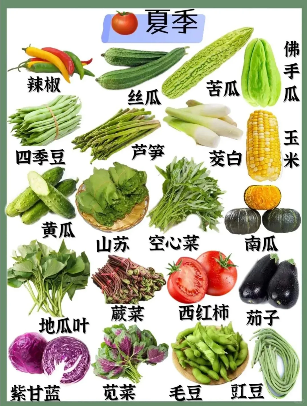 超实用的四季蔬菜汇总