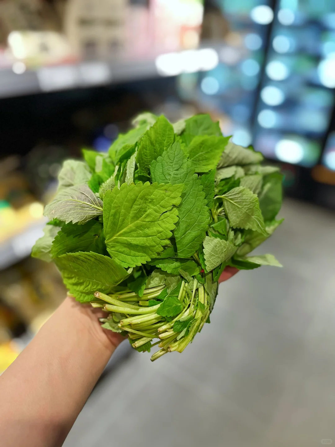 这些菜你都认识吗