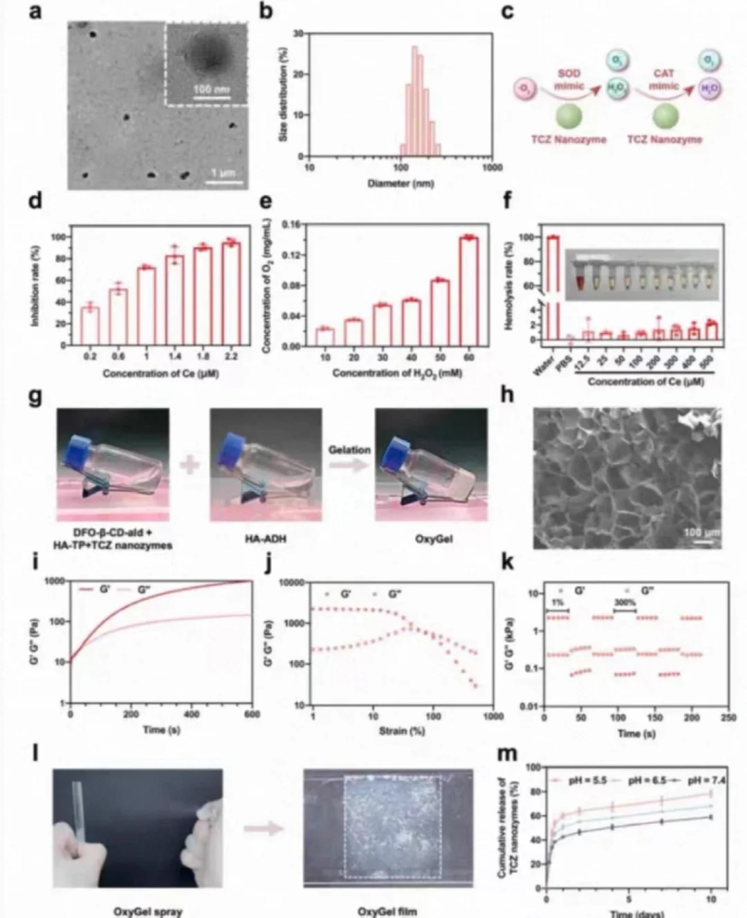 水凝胶，纳米材料方案＋合成＋表征。
