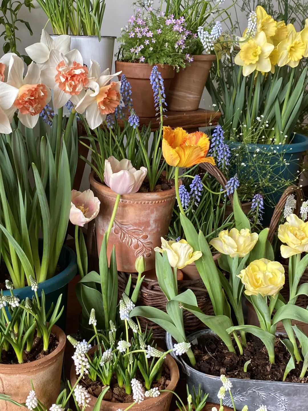 此时此刻我家???