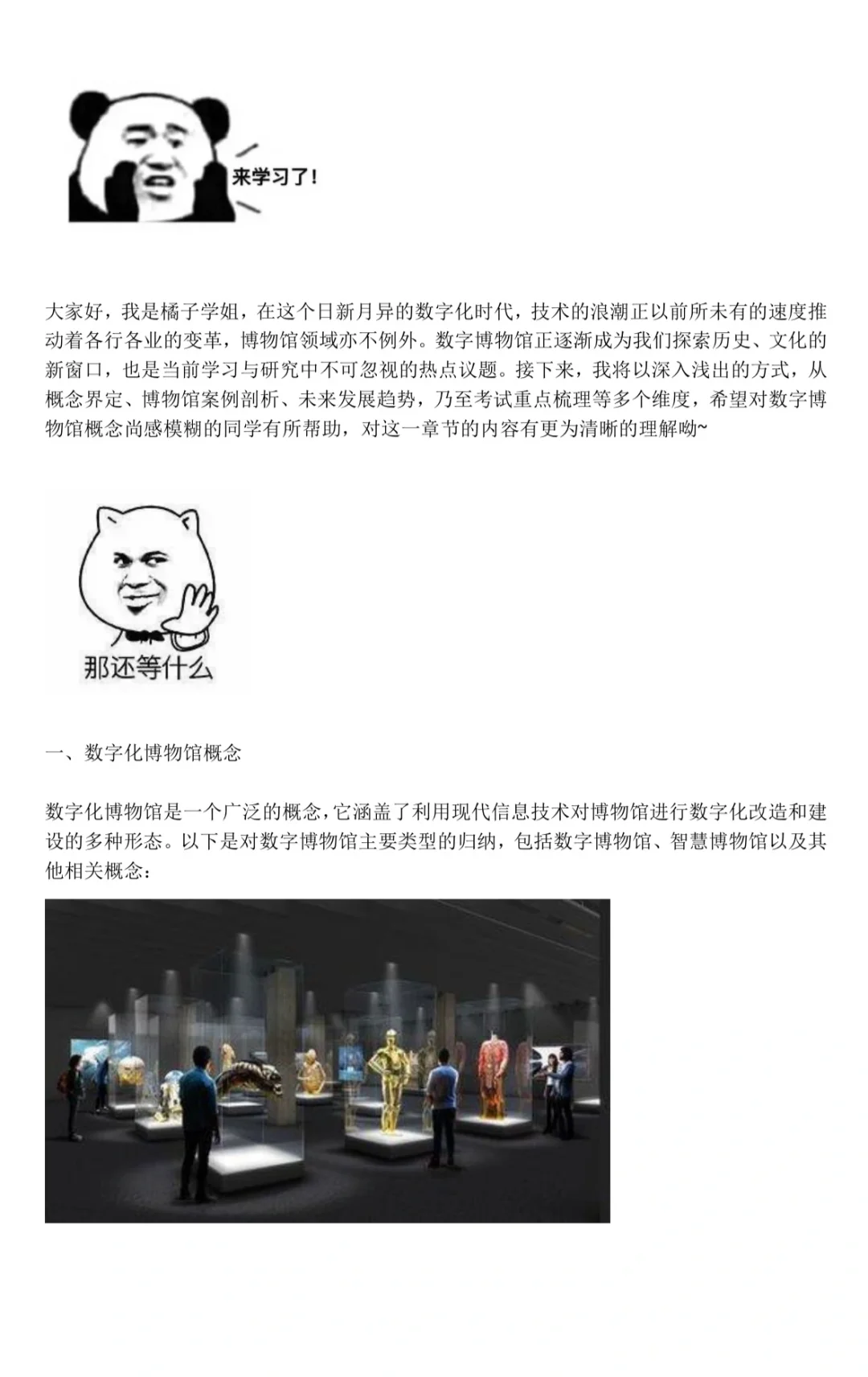 数字博物馆｜内附最新考题呦