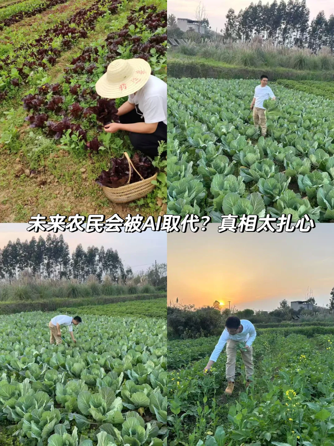 未来农民会被AI取代？真相太扎心