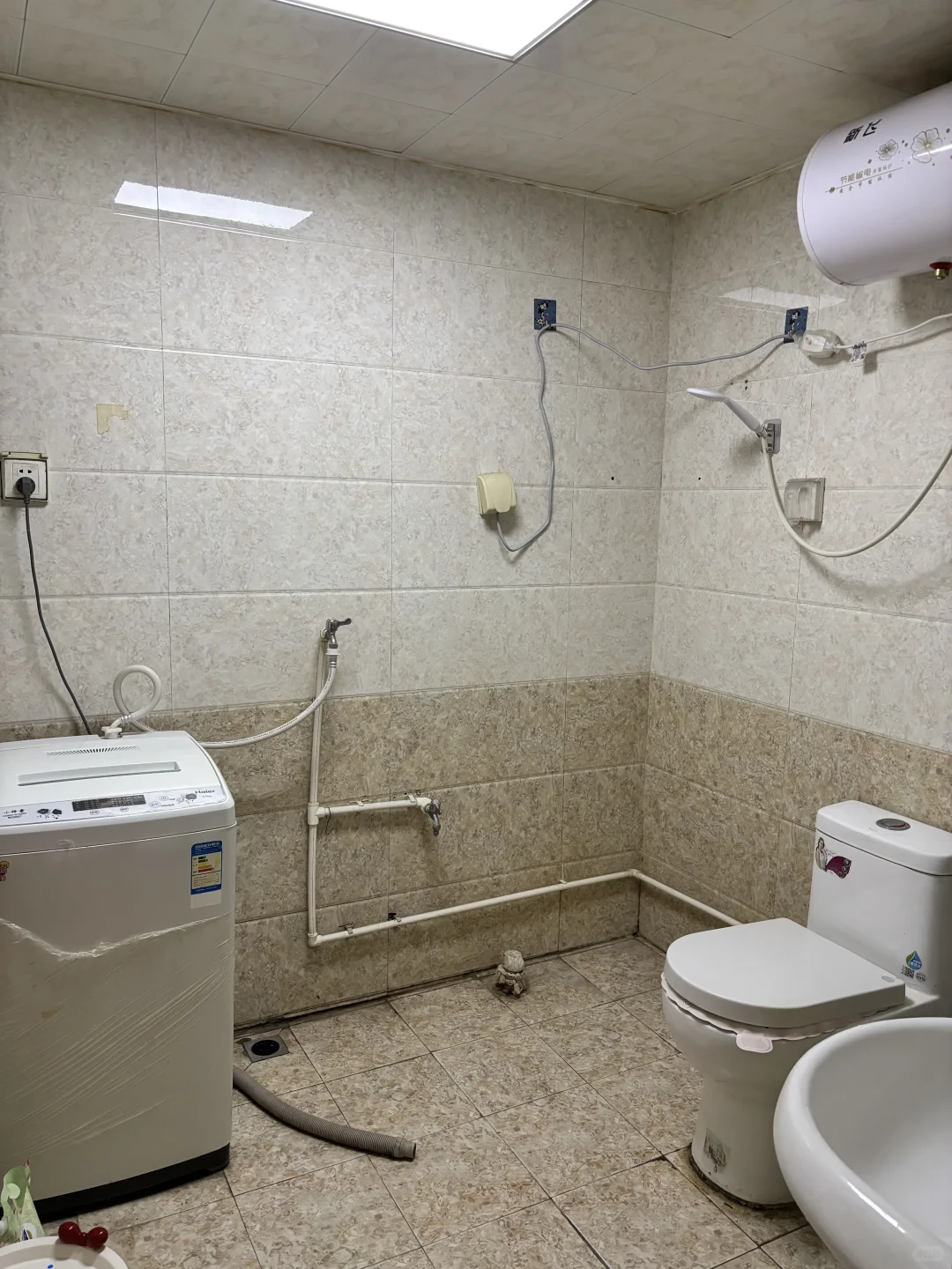 保定找合租女室友