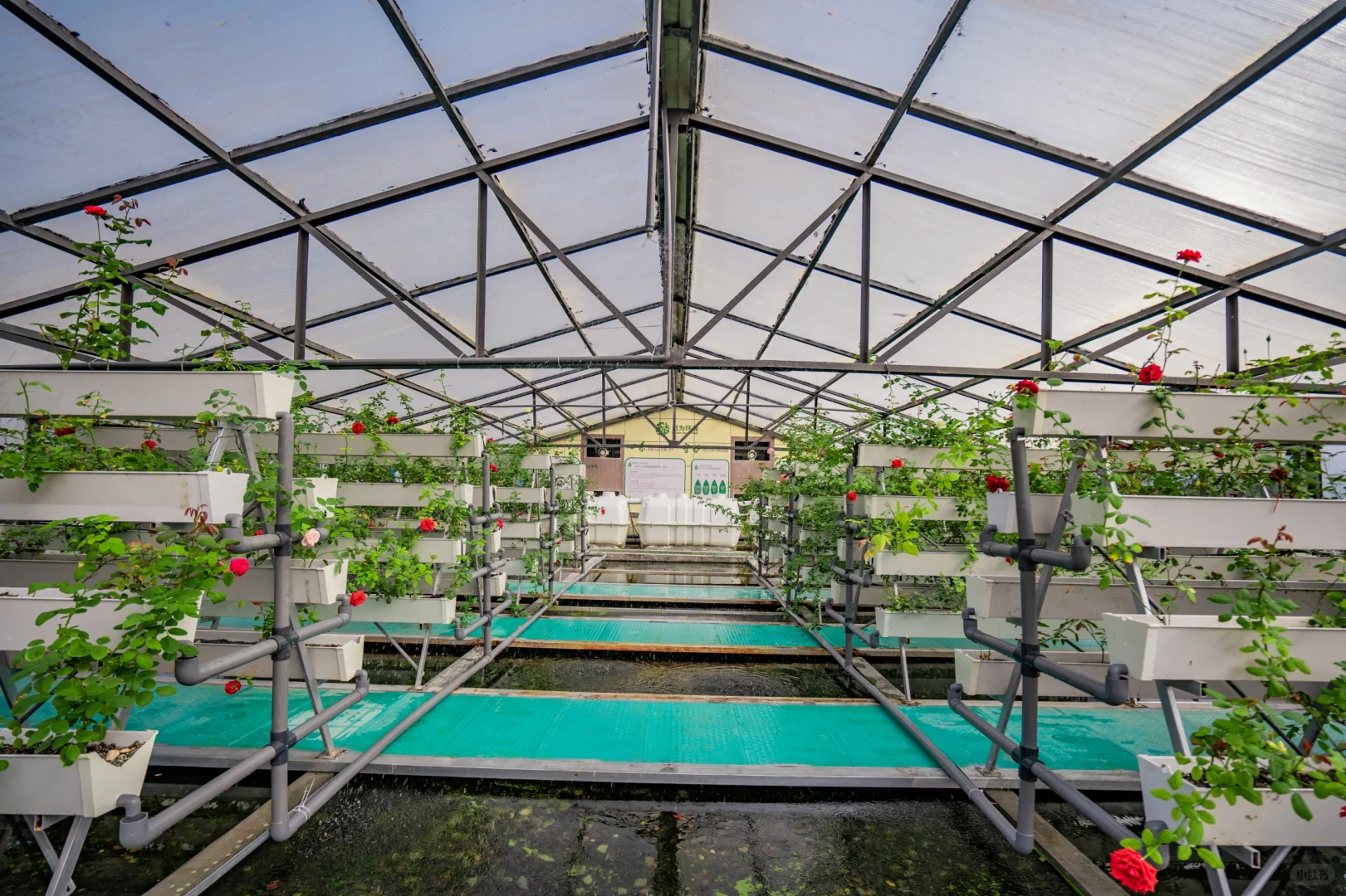 农村生活污水治理资源化利用“最好的方式”