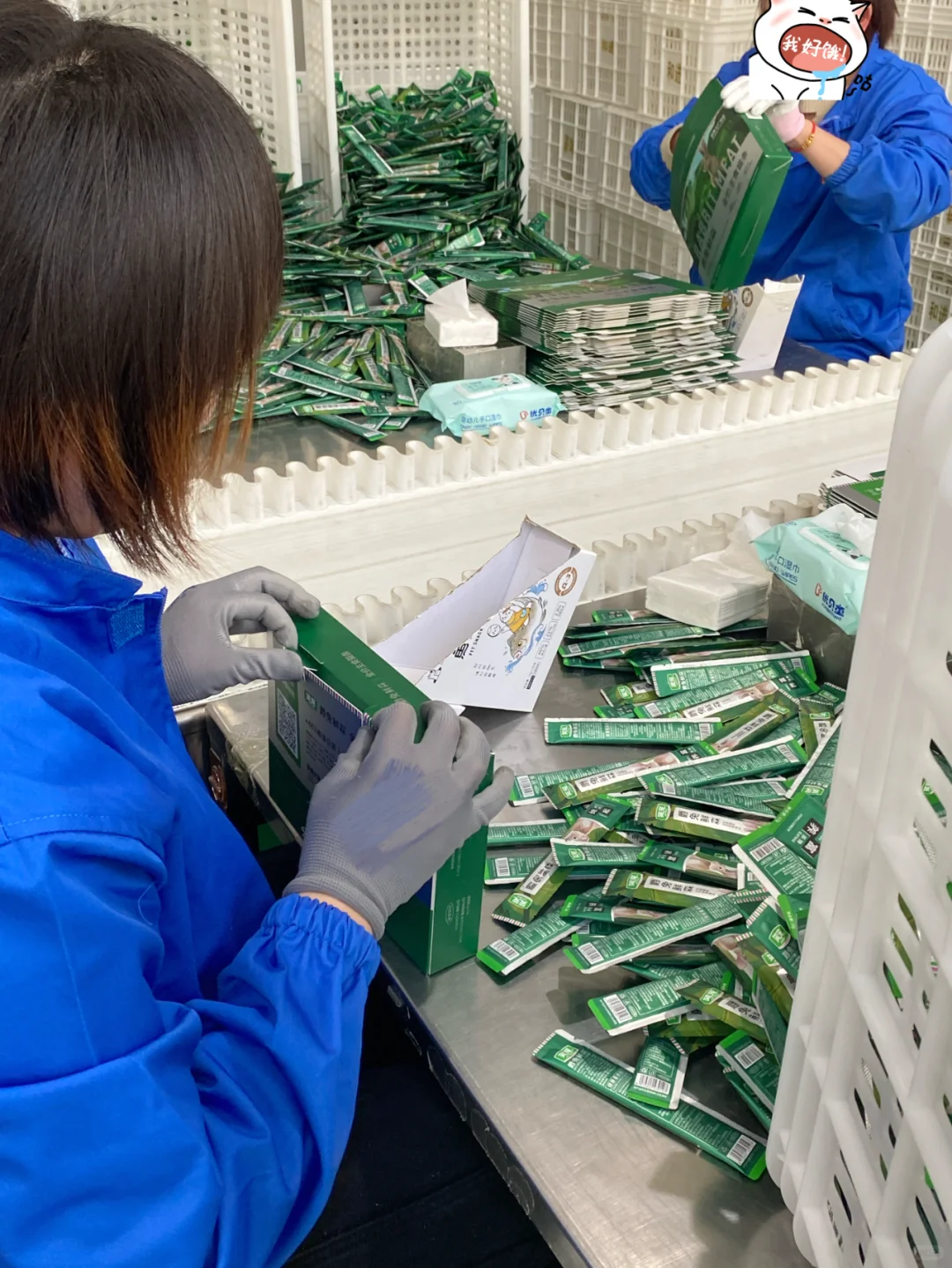 打工日记?|被猫条支配的一天