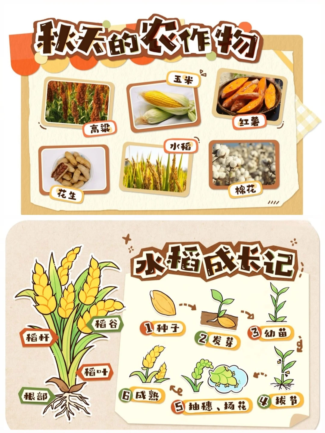 ?幼儿园秋天主题环创，?可直接打印！