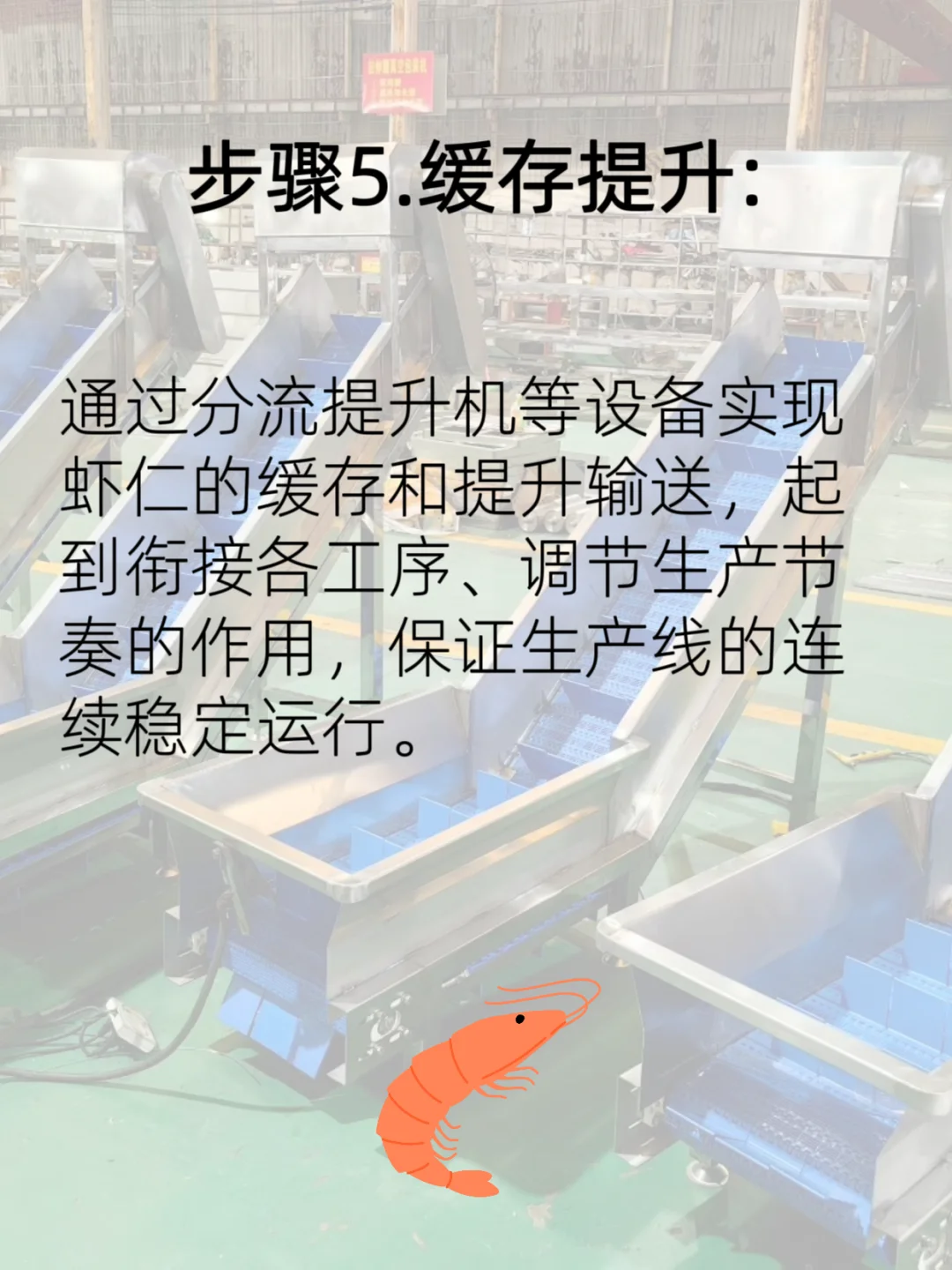 虾仁加工至虾滑流水线流程