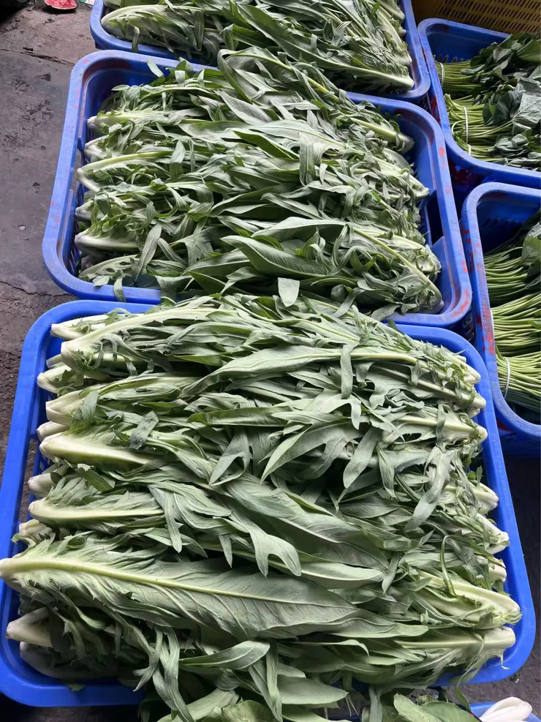 重生之90后辞职创业搞蔬菜批发?