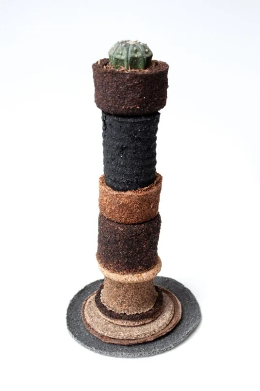 食物残渣的重生