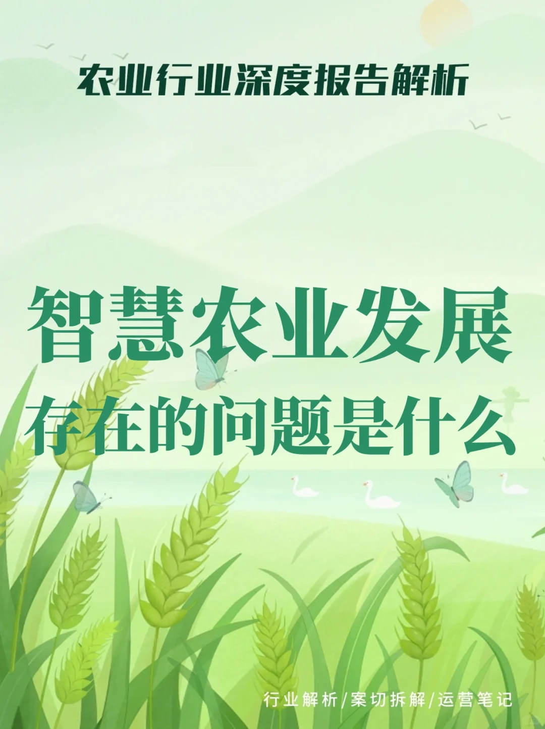 智慧农业发展存在的问题是什么？