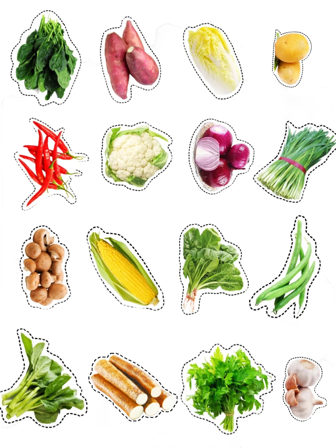 真实的蔬菜水果|均可打印（48种）