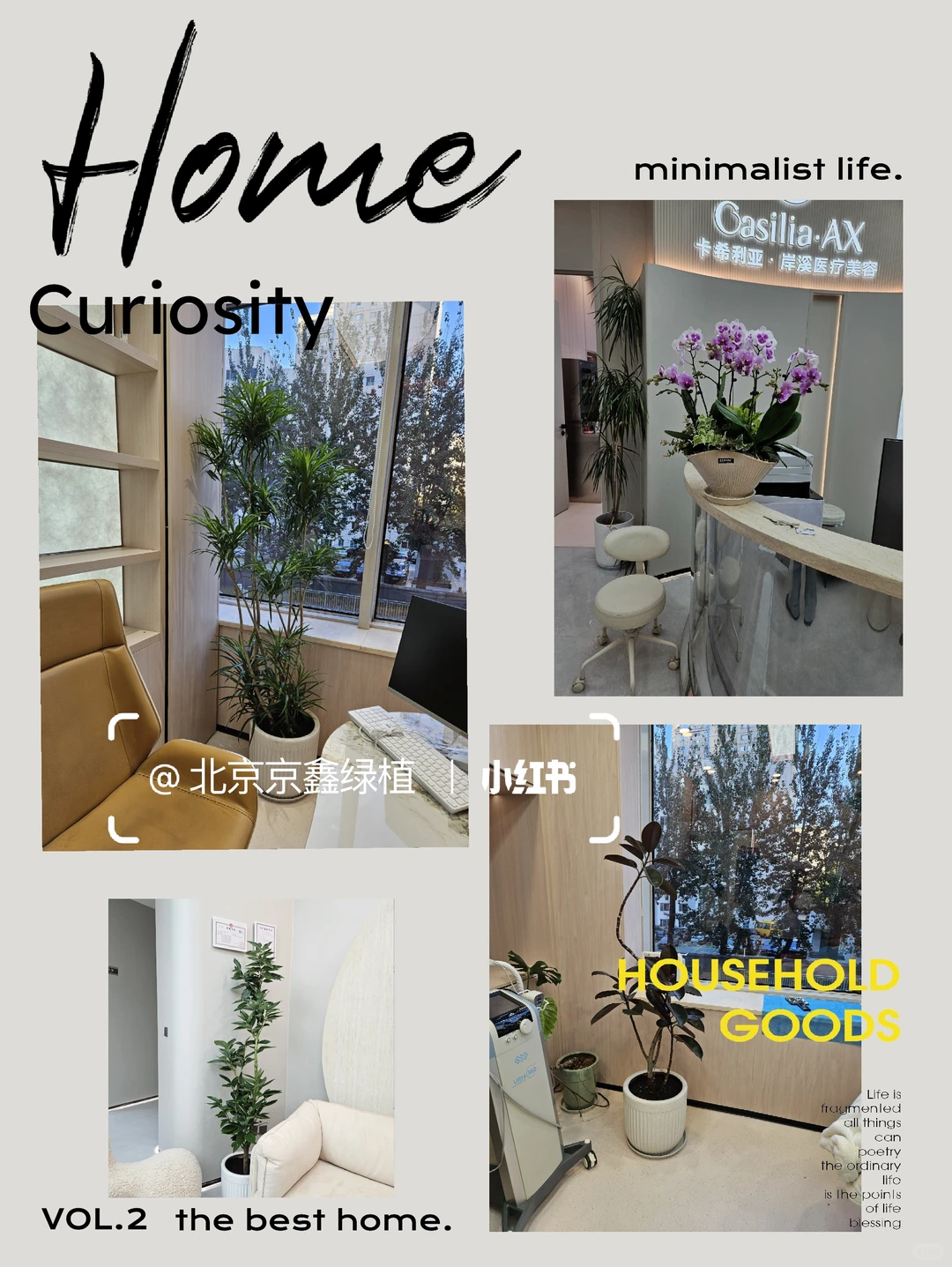 ?北京绿植租赁，绿植造景，绿植租摆