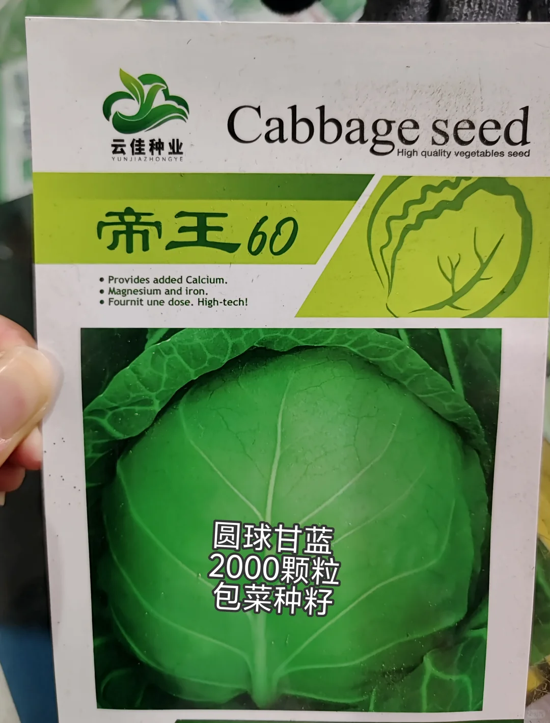 云南，云佳。云佳种业，甘兰种子，甘蓝种子