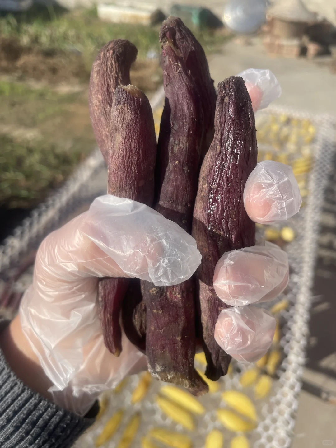 农村小时候老味道的红薯干在这里～