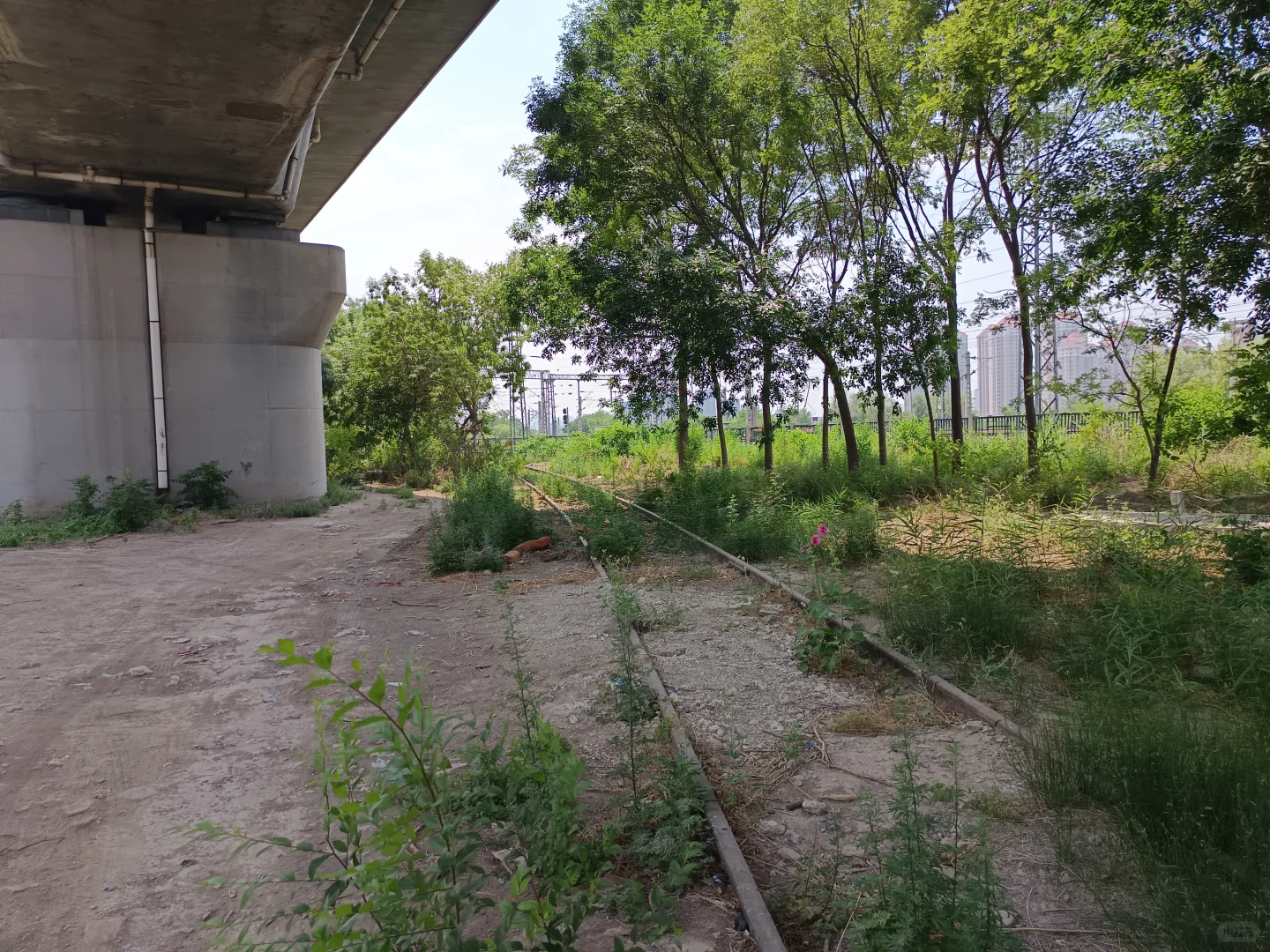 最早生产磷农药的国企是如何把自己逼没的