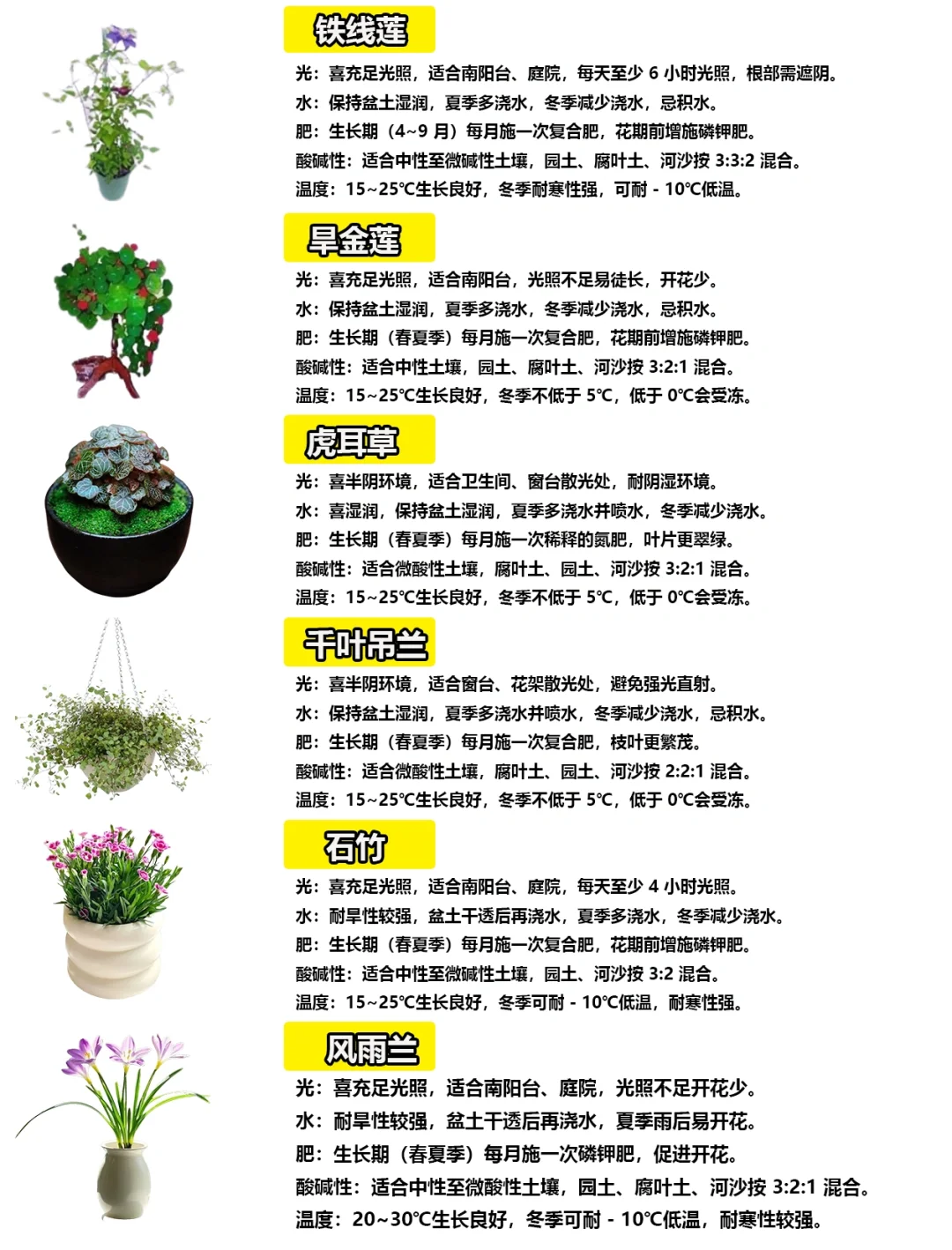 108种绿植花卉养护手册大全