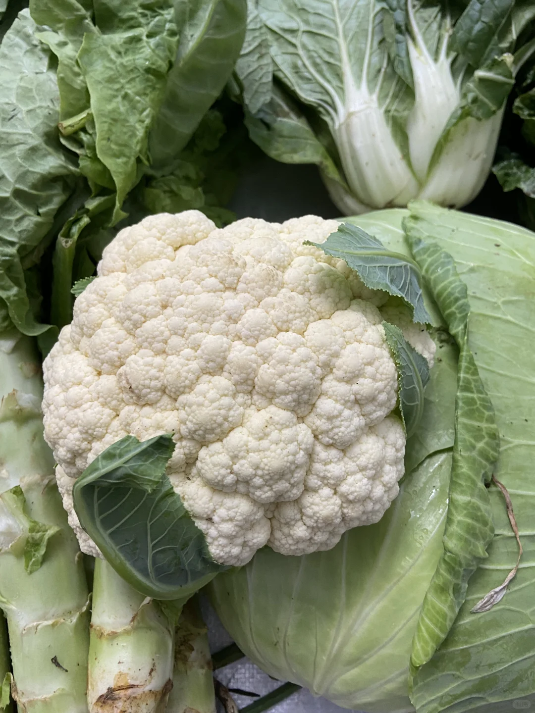 家庭种植有机蔬菜，可与湖北的朋友分享