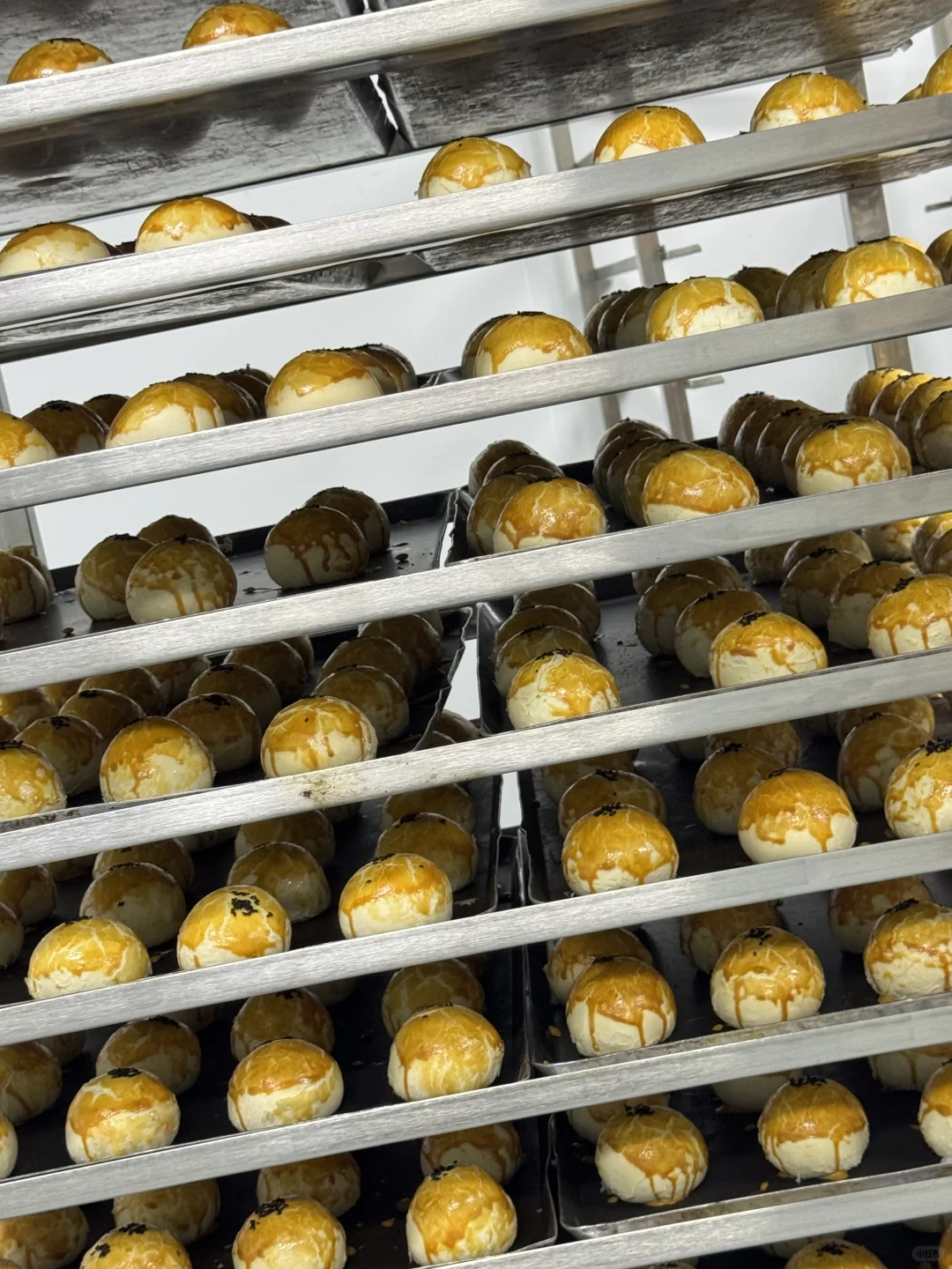 《重生之我是食品厂厂长》