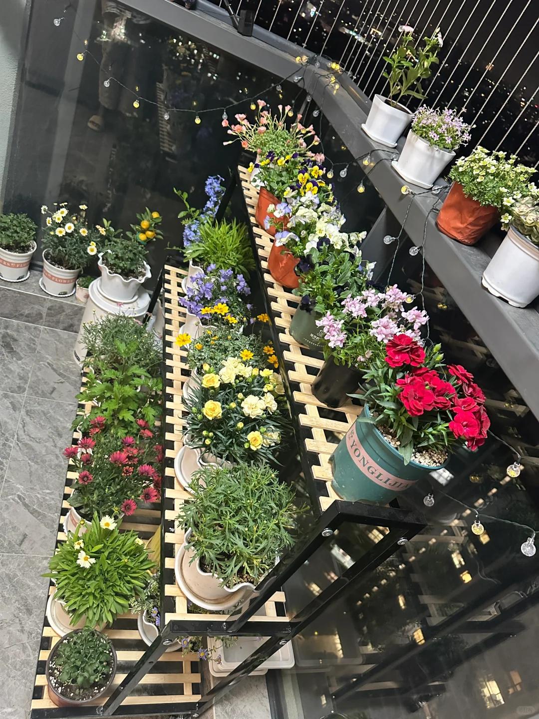 已经两天没阳光了?