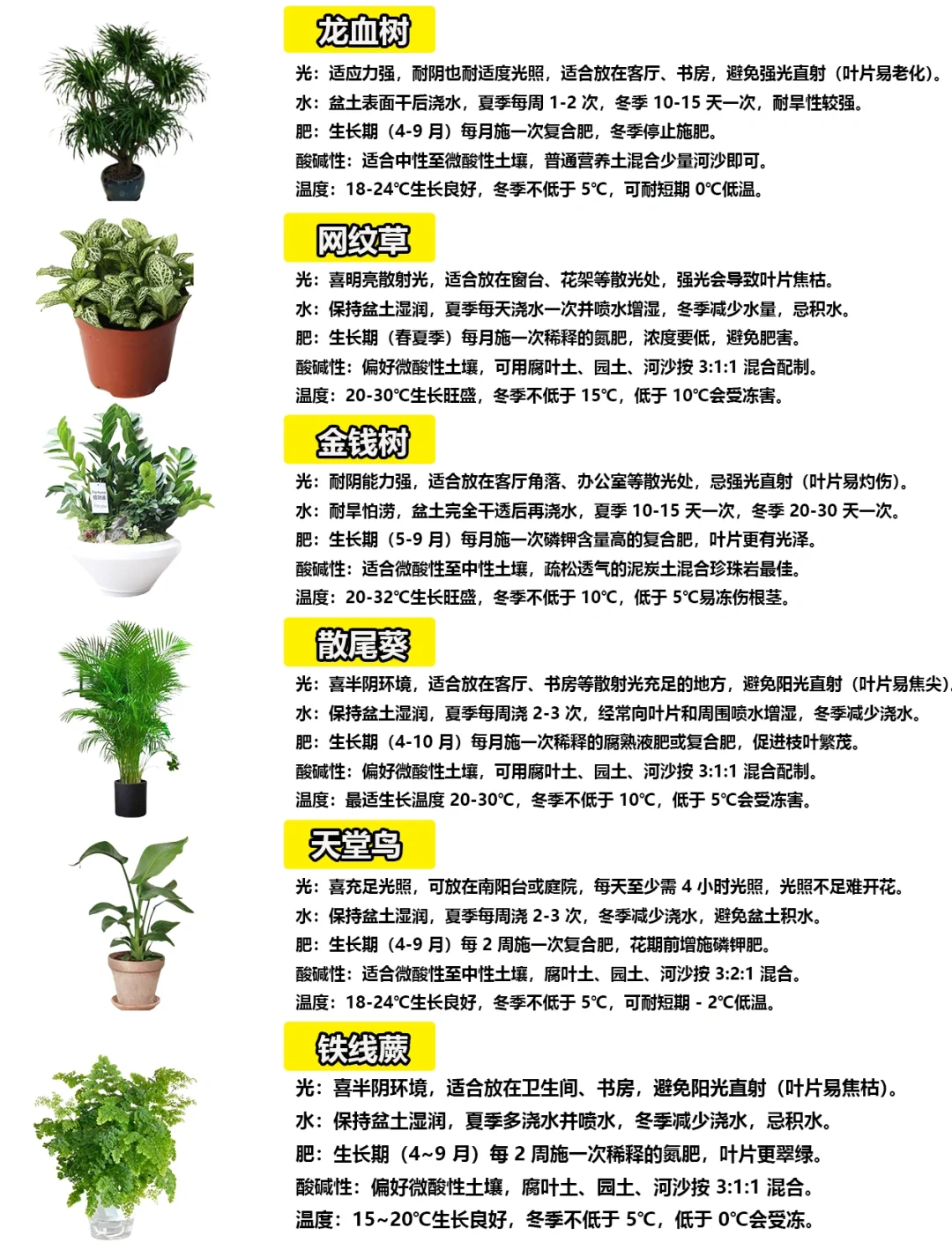 108种绿植花卉养护手册大全