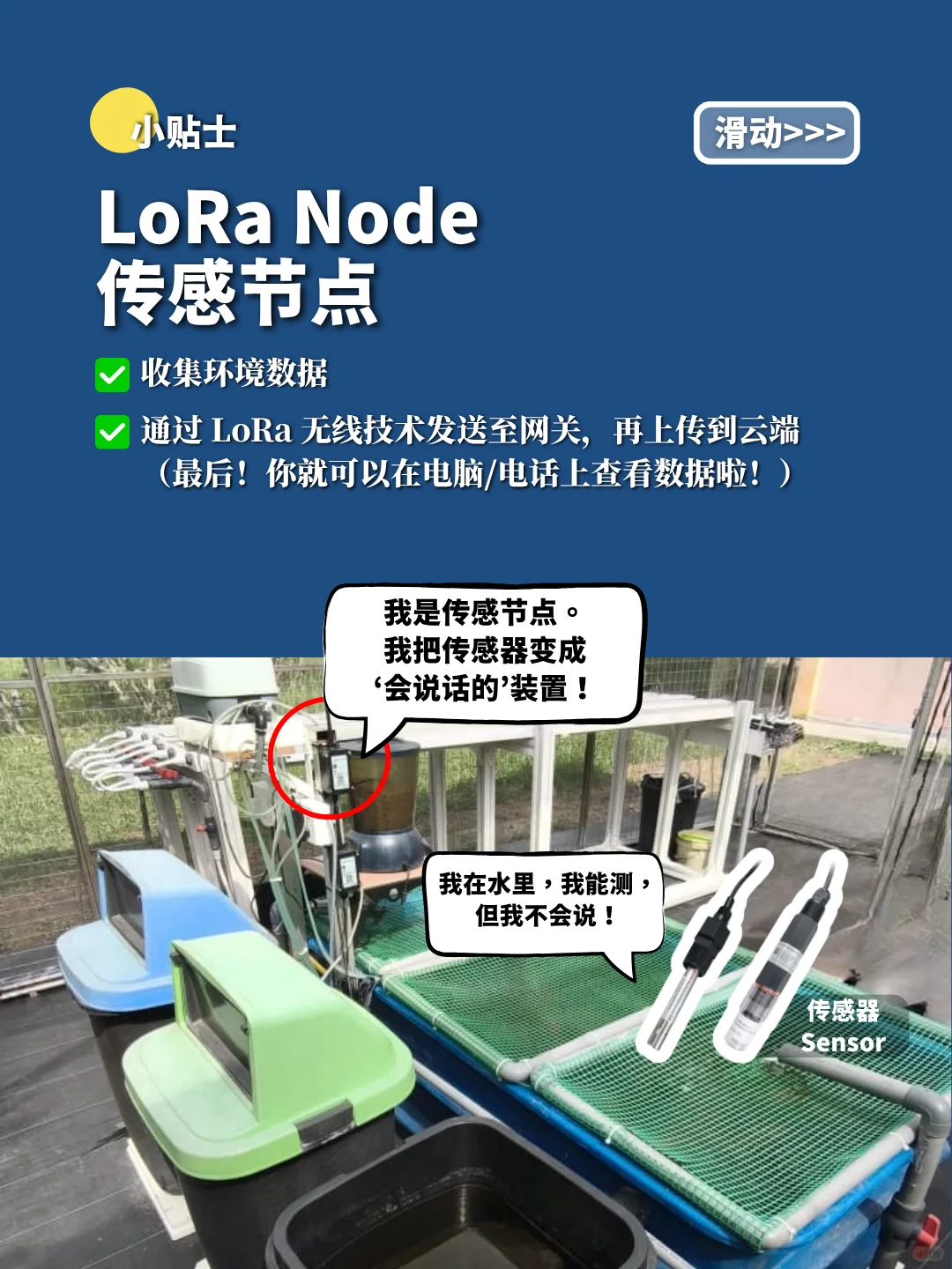 精準种植｜Sustainable Precision Farming