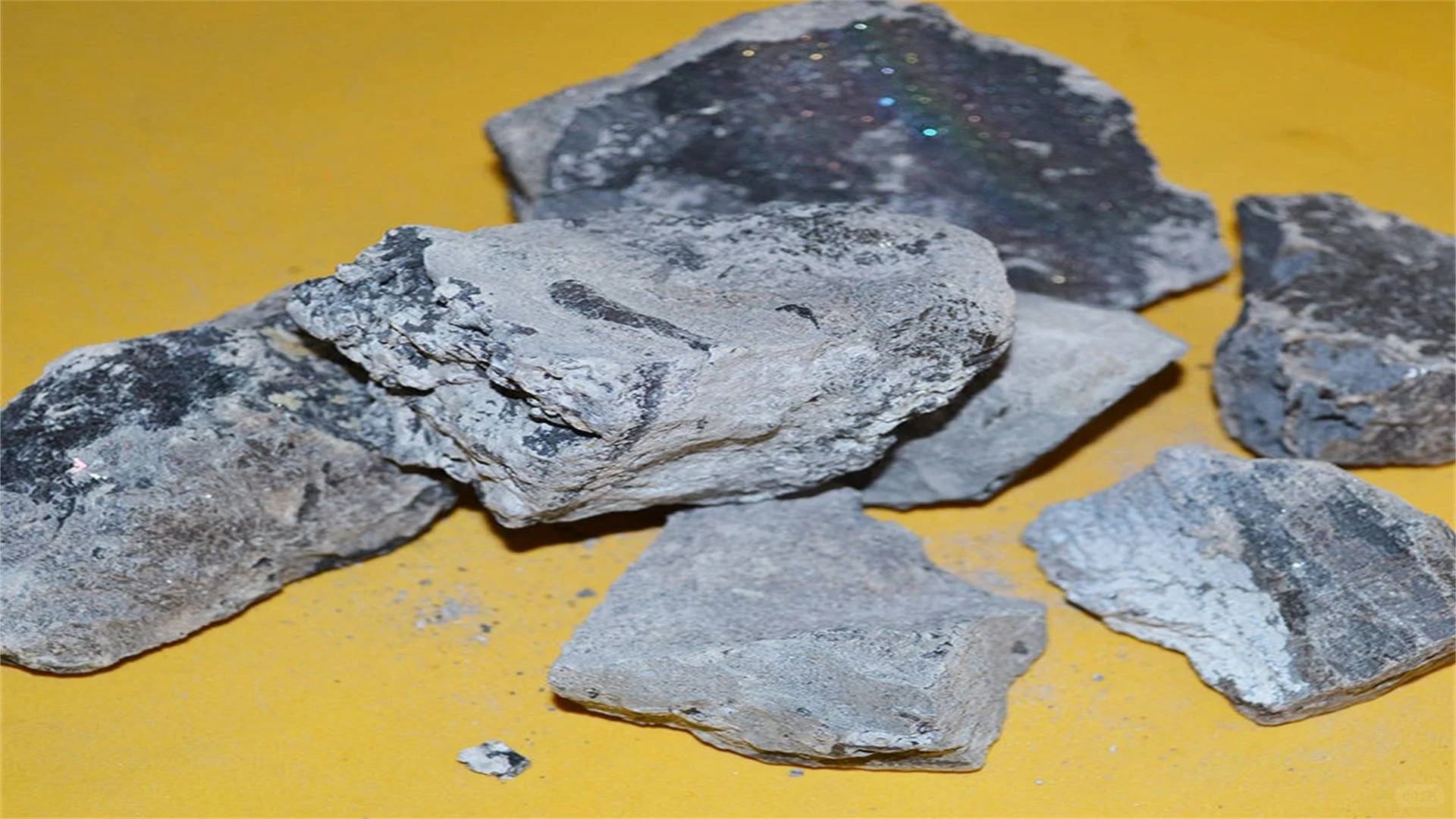 电石废渣资源化利用途径探索