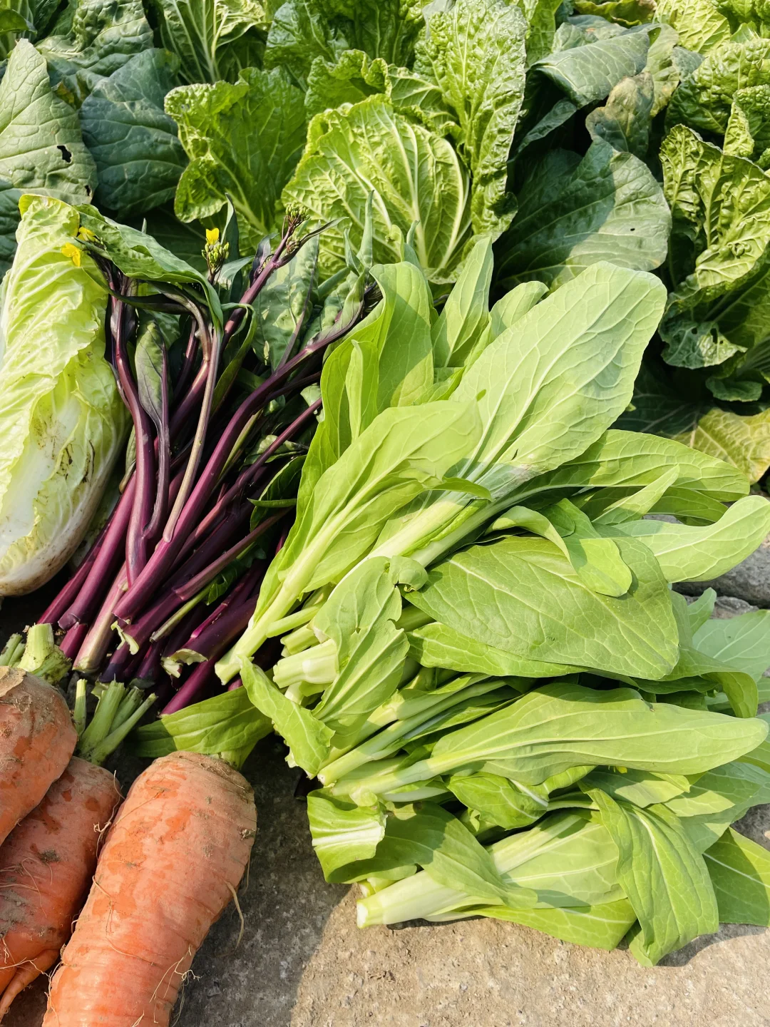 要吃就是绿色健康农家菜?