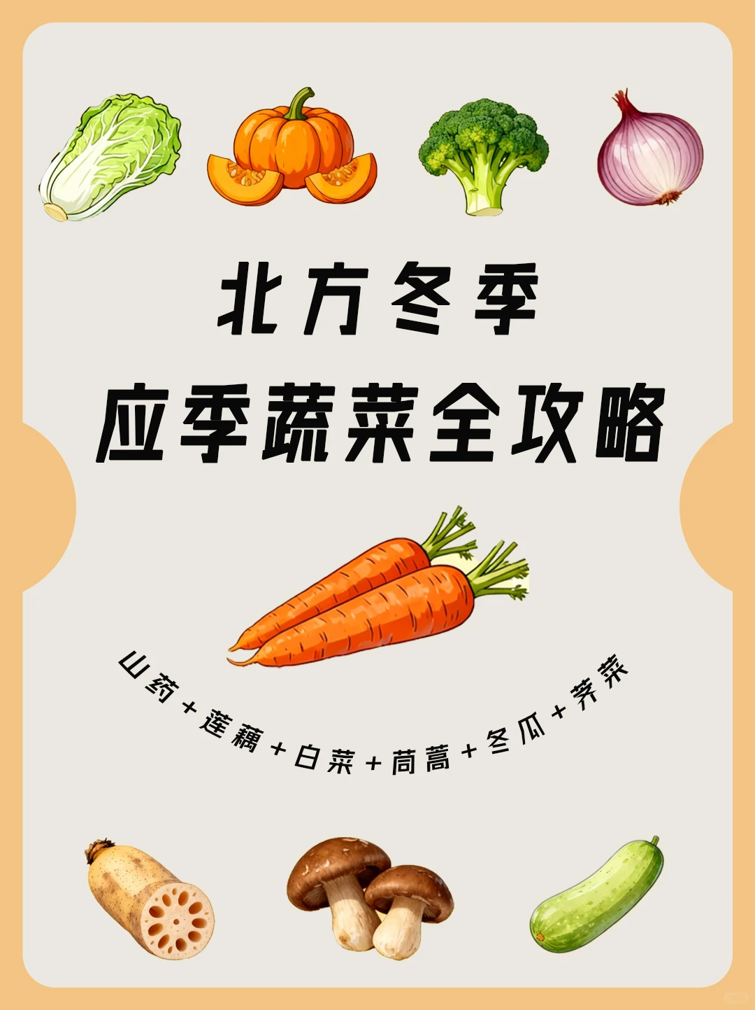 北方冬季应季蔬菜全攻略丨配套储存大法