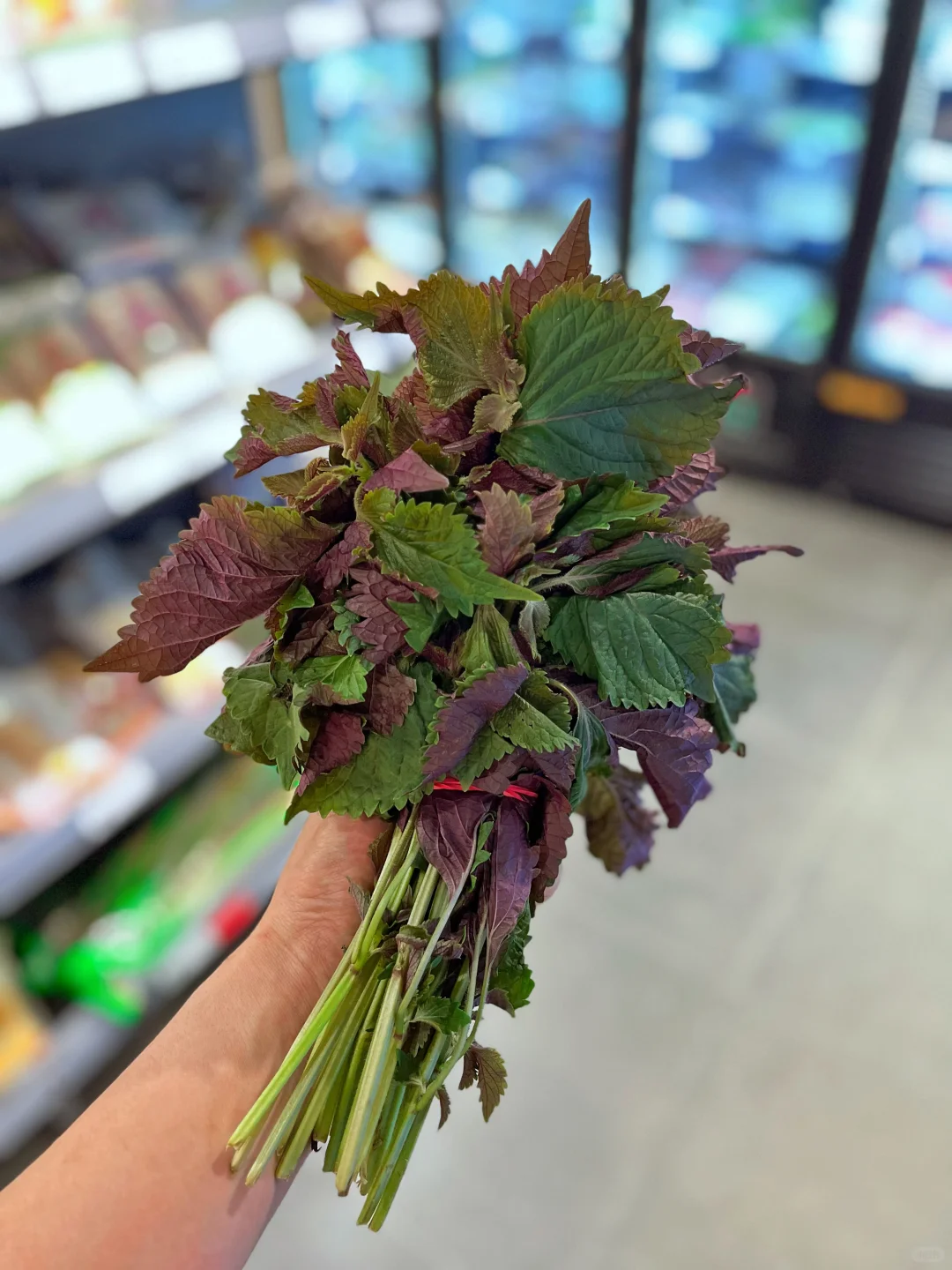 这些菜你都认识吗