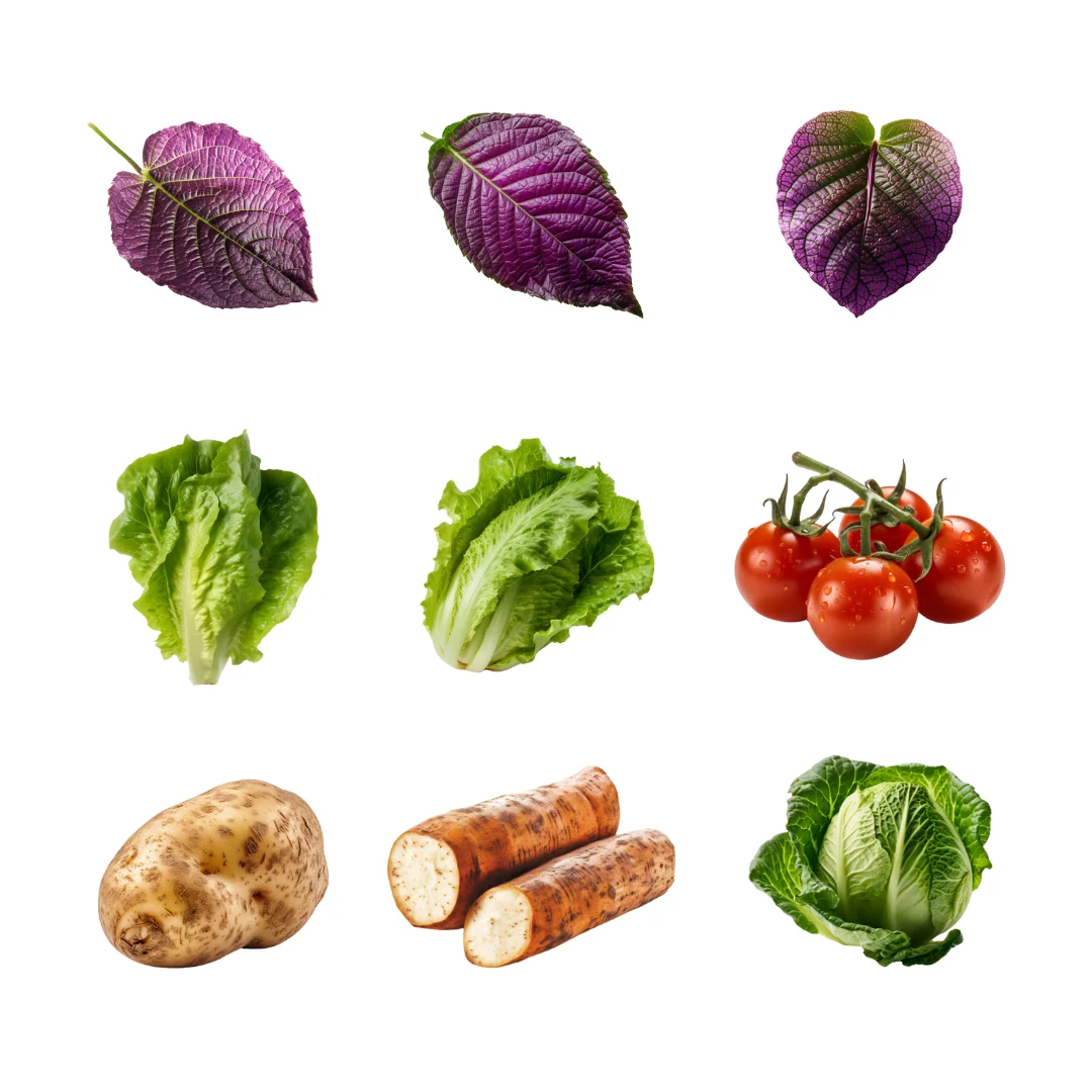 PNG素材分享 | 蔬菜照片 抠图素材