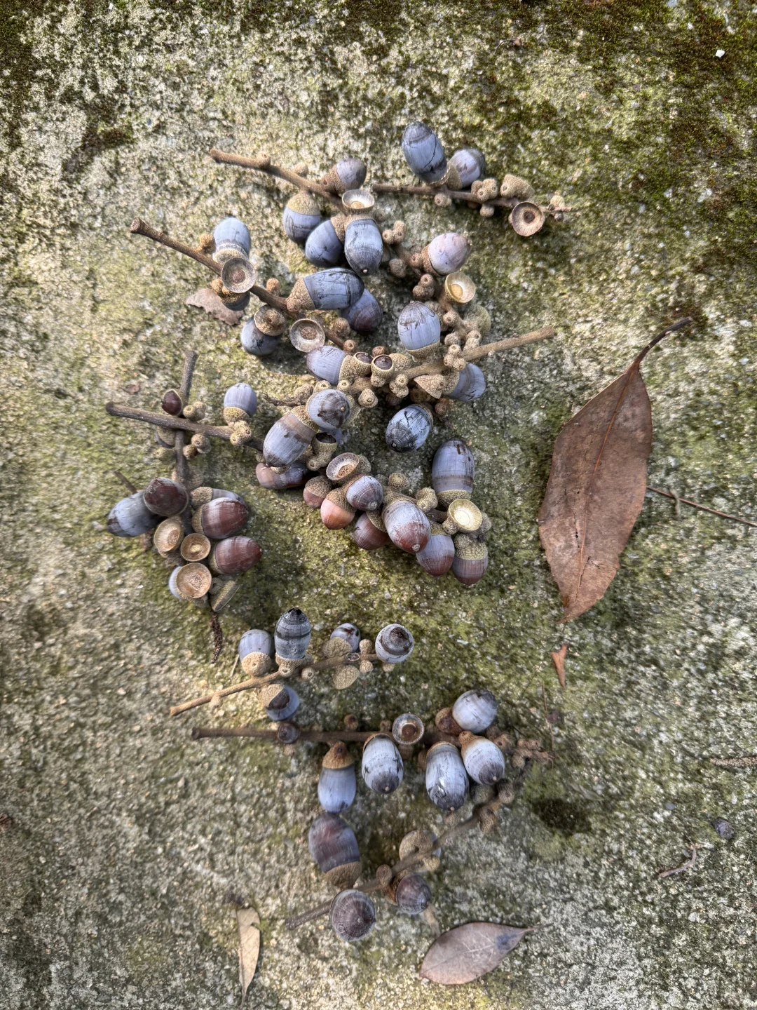 上虞降温首爬 | 梁祝古道环线秋意浓浓?