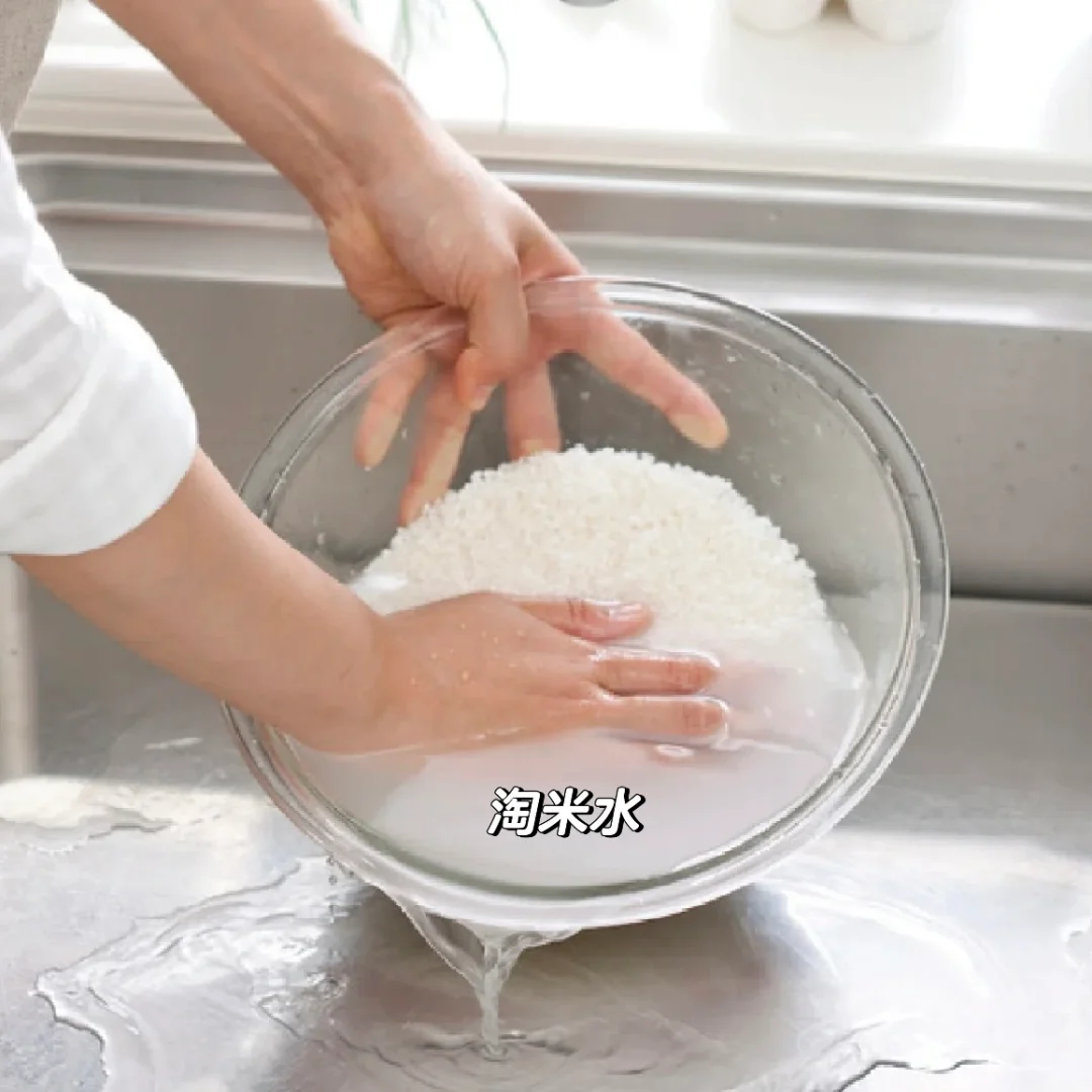 ♻️可持续生活｜厨余垃圾处理